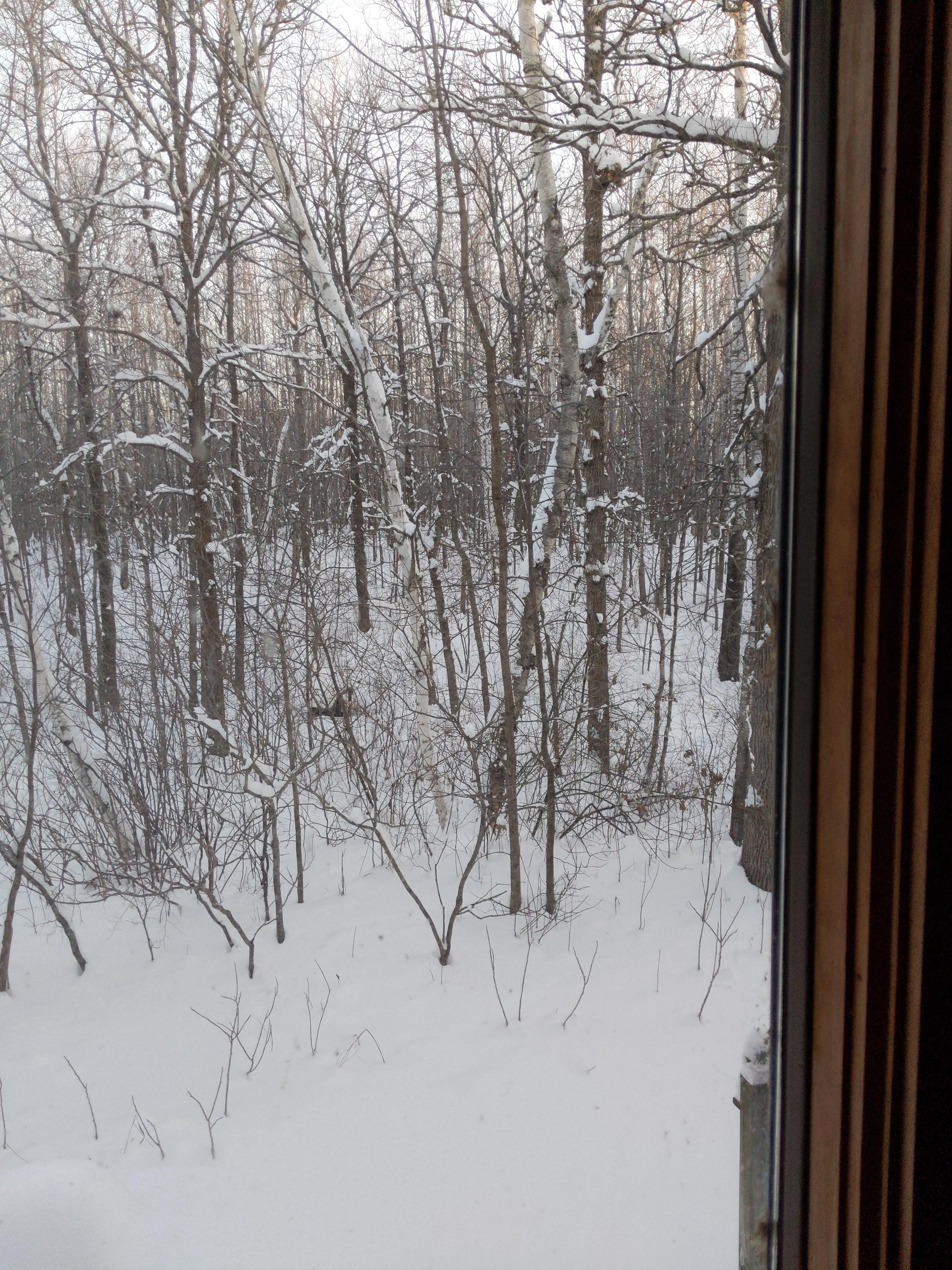 It is 100 degrees colder on the other side of the window. 31f outside