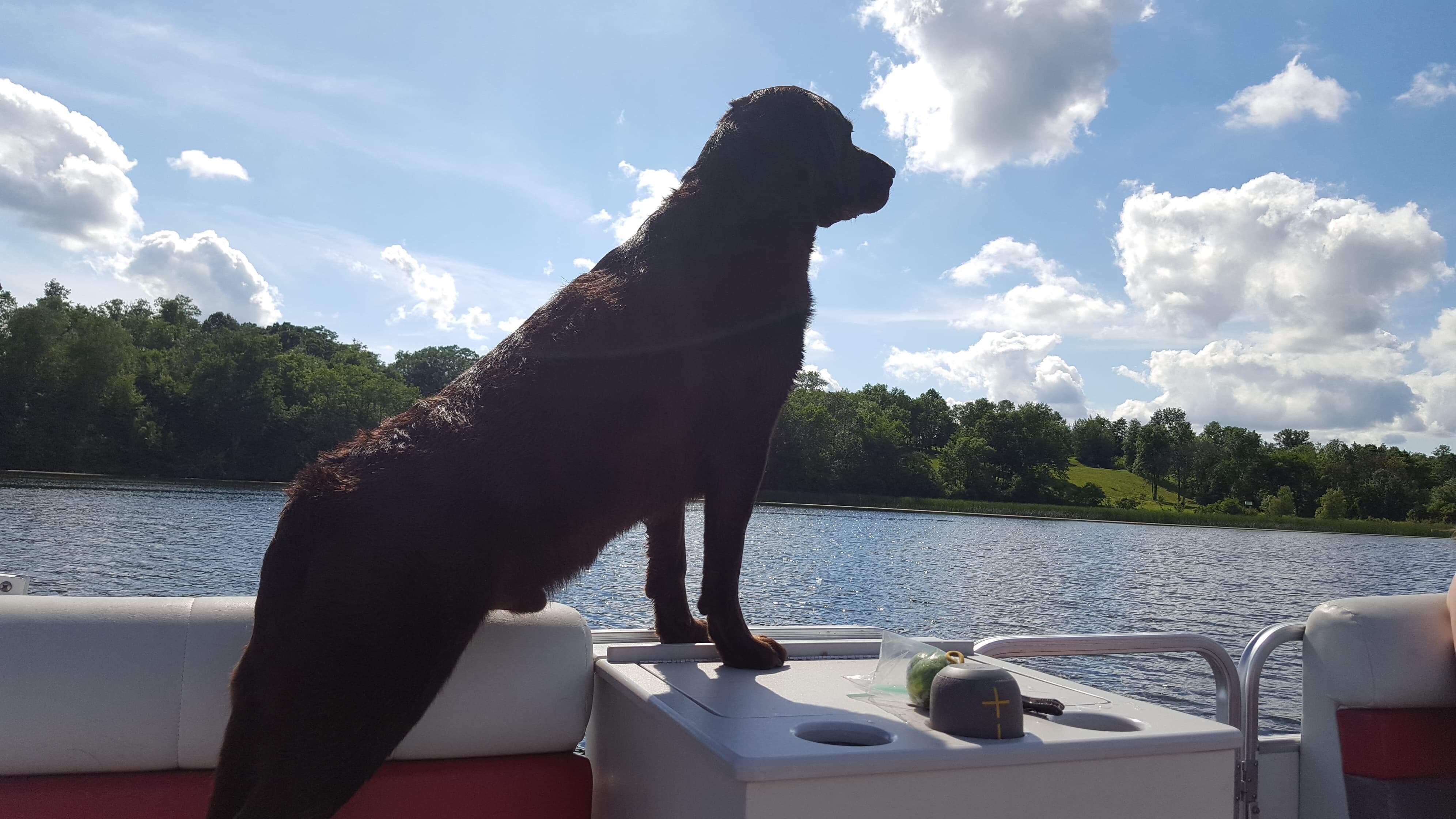 A little late but me and Toby spent out first 4th of July together on