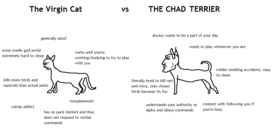 Virgin Dog Crate Sizes at Raymond Gilbert blog