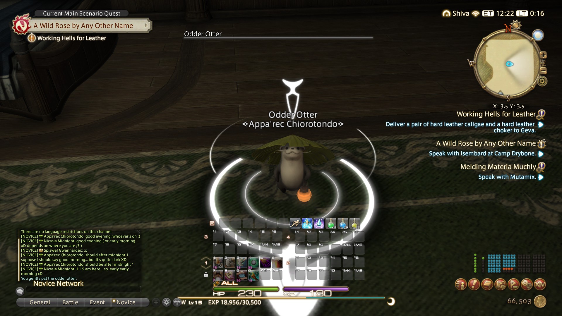 So, this is my odder otter. His name's Hotter. I pet him r/ffxiv