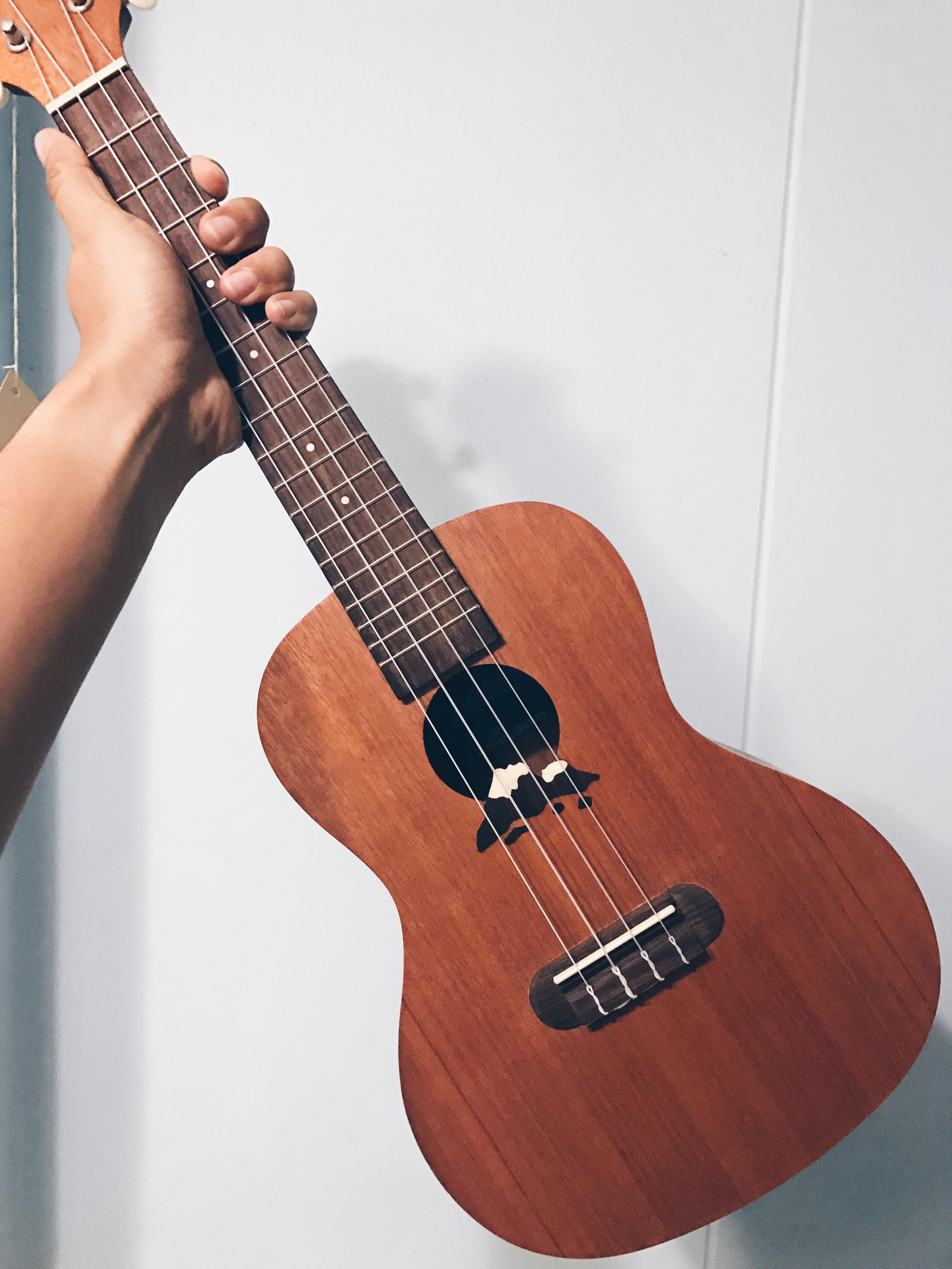 She's a beaut! My first ever ukulele ) r/ukulele
