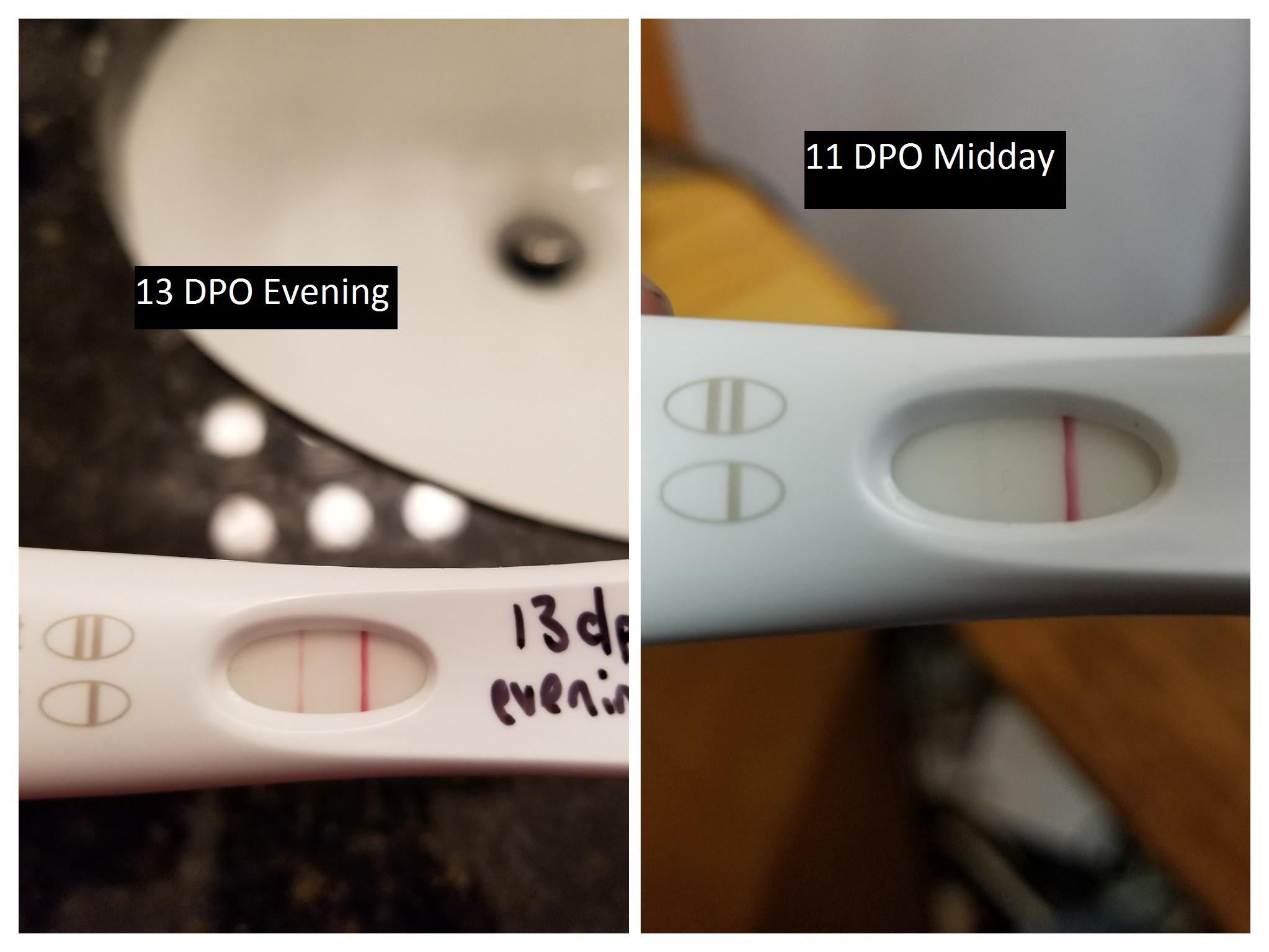 First Response 11 Dpo Pregnancy Test pregnancy test