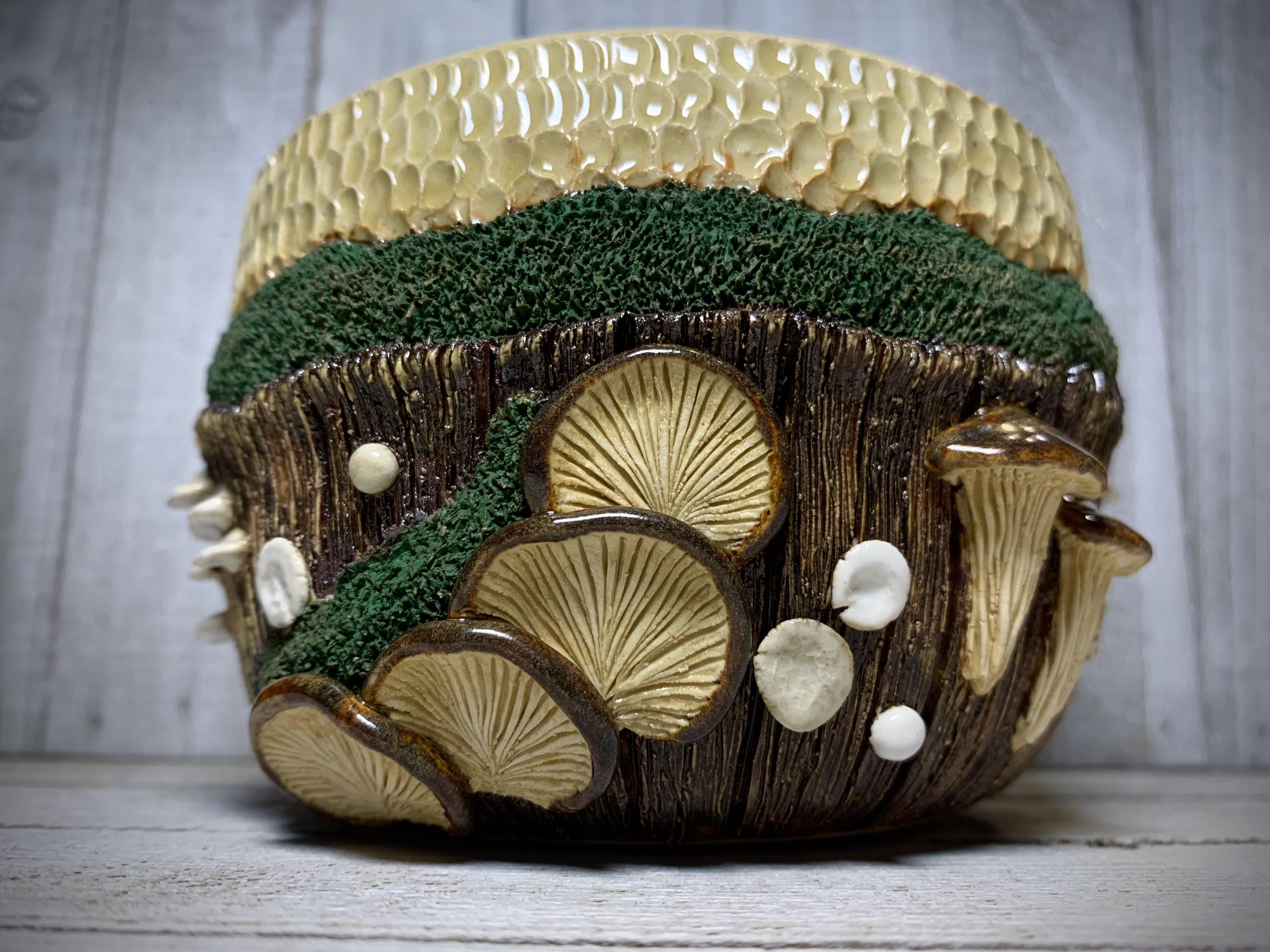 What is this fungus? The size of a soccer ball. Mushrooms