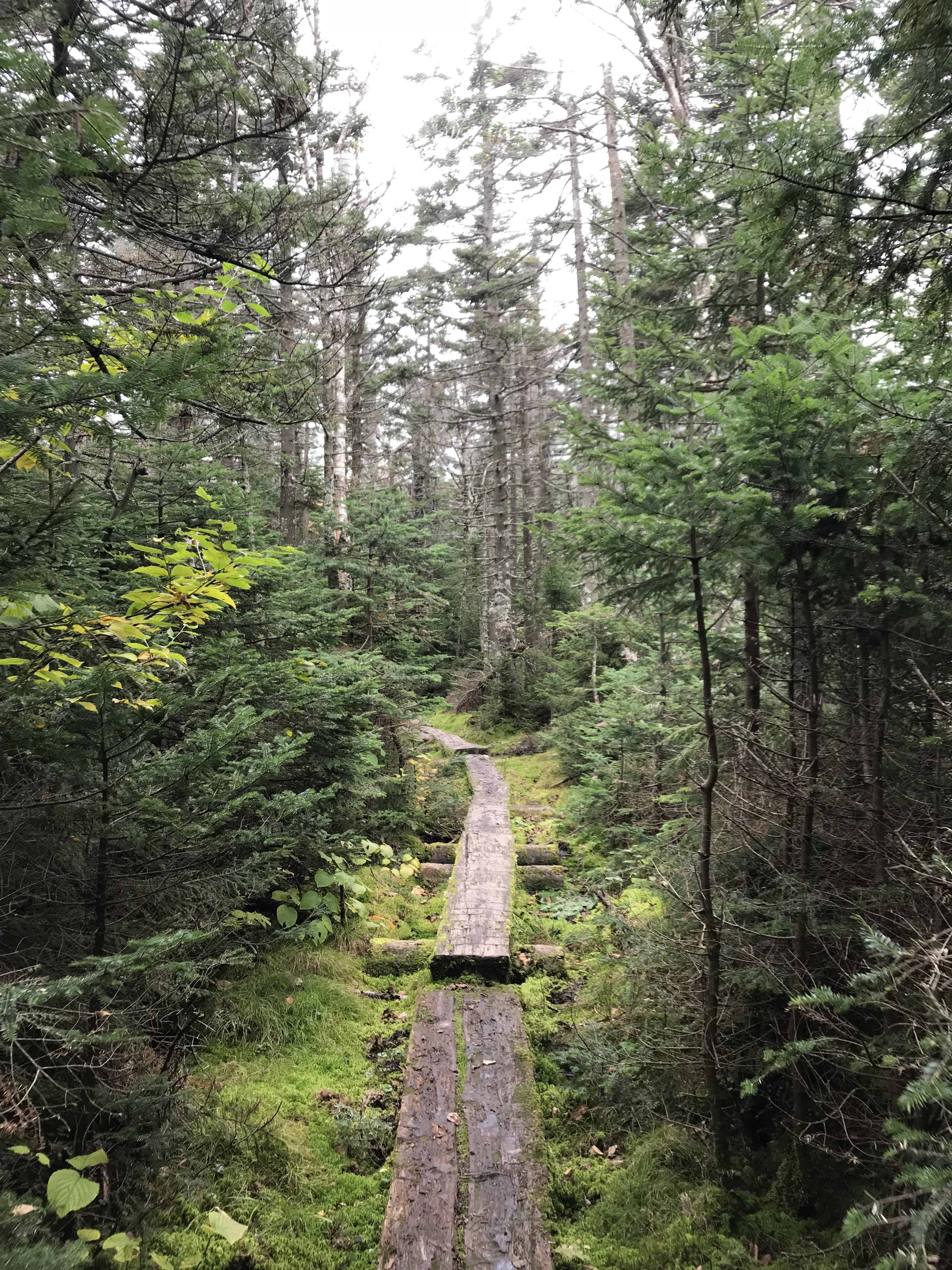Misty green mountains. Peru peak, Long Trail, Vermont. r/CampingandHiking