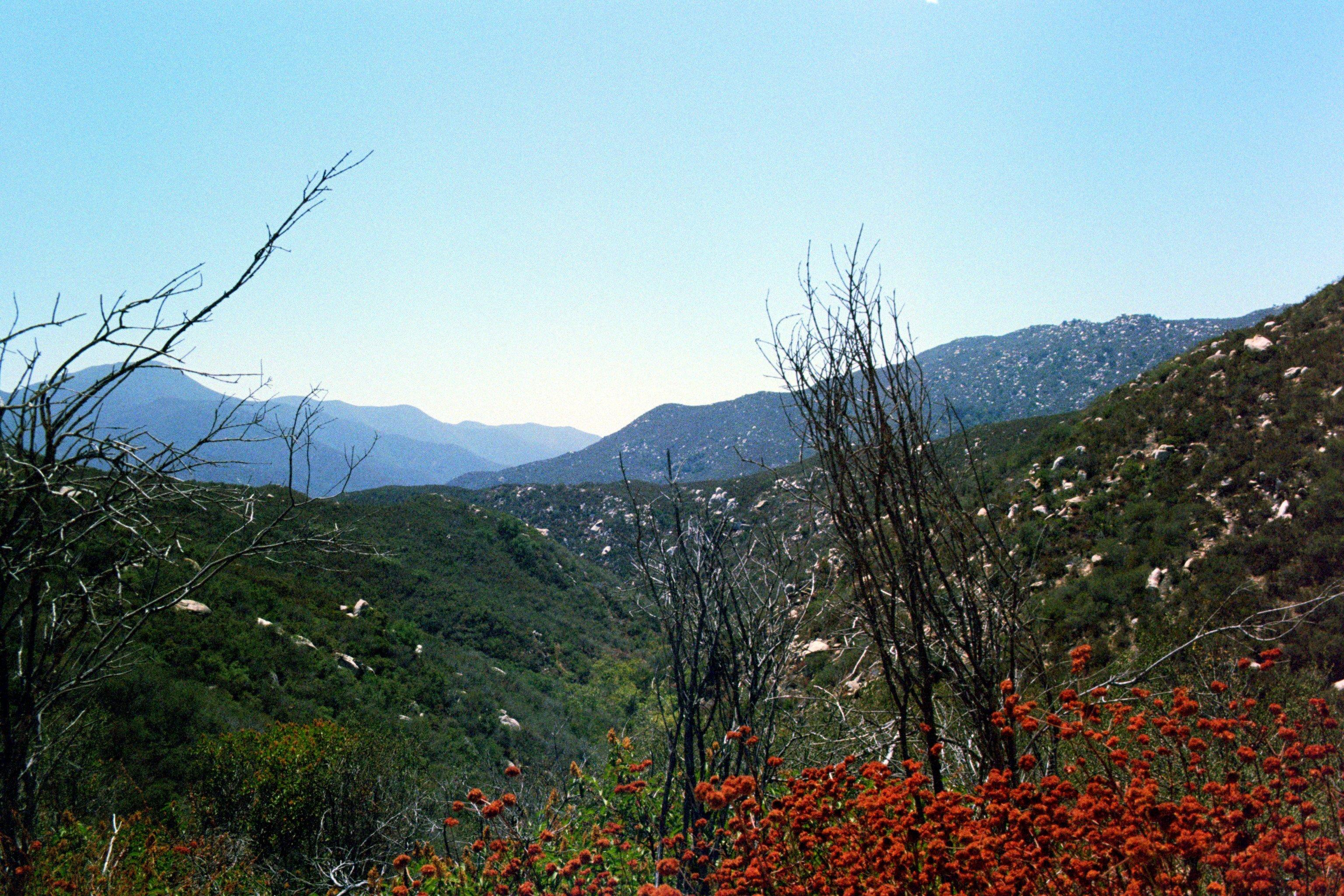Ortega Hwy 74, California [OC][3072x2048] r/EarthPorn