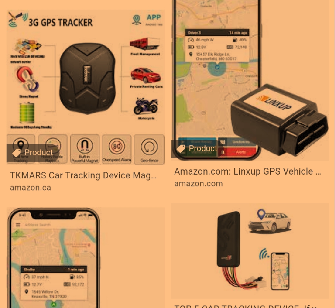 Which vehicle tracking software is best for monitoring renter's