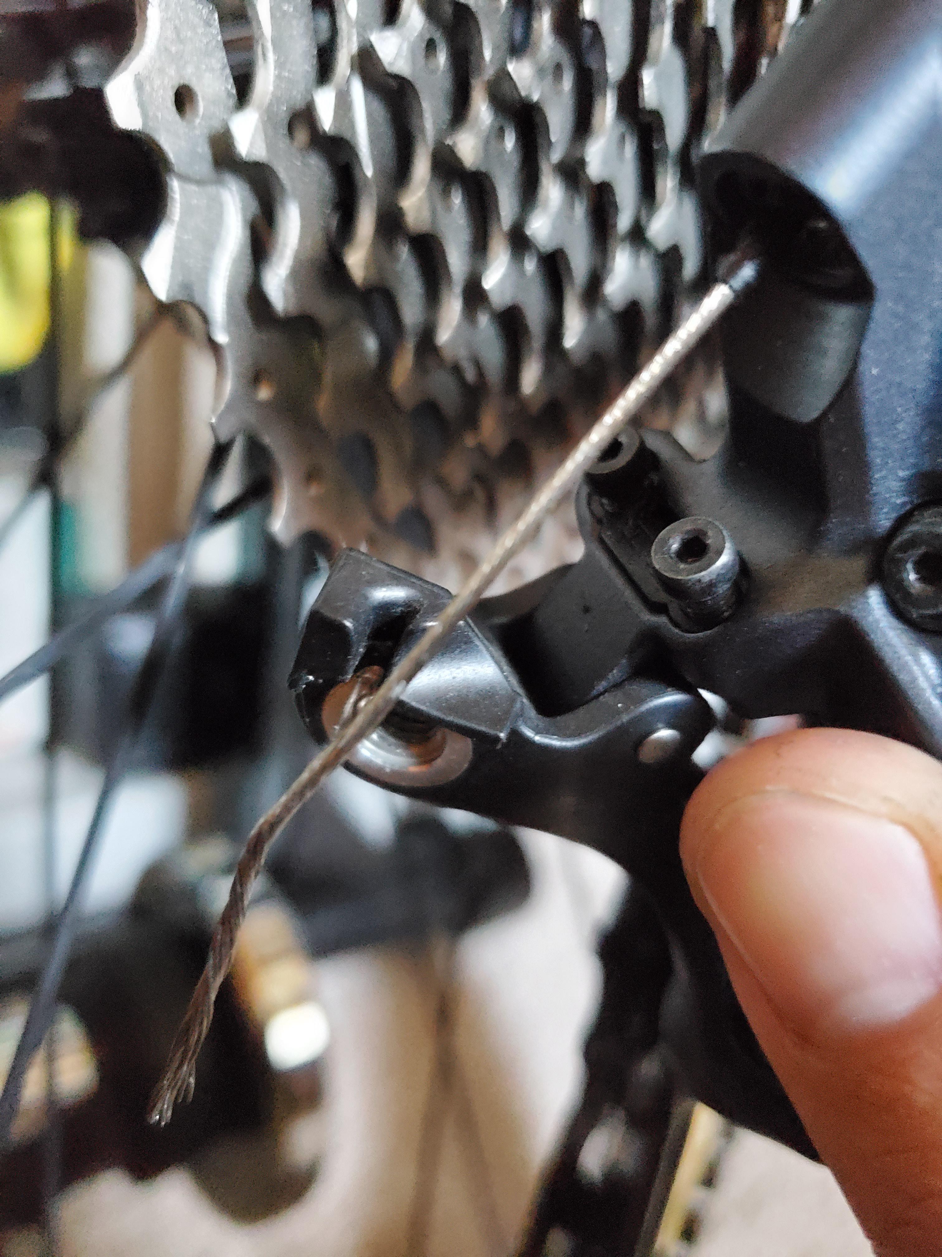 Bicycle Bolt Guide Everything You Need To Know About Bike Bolts lupon