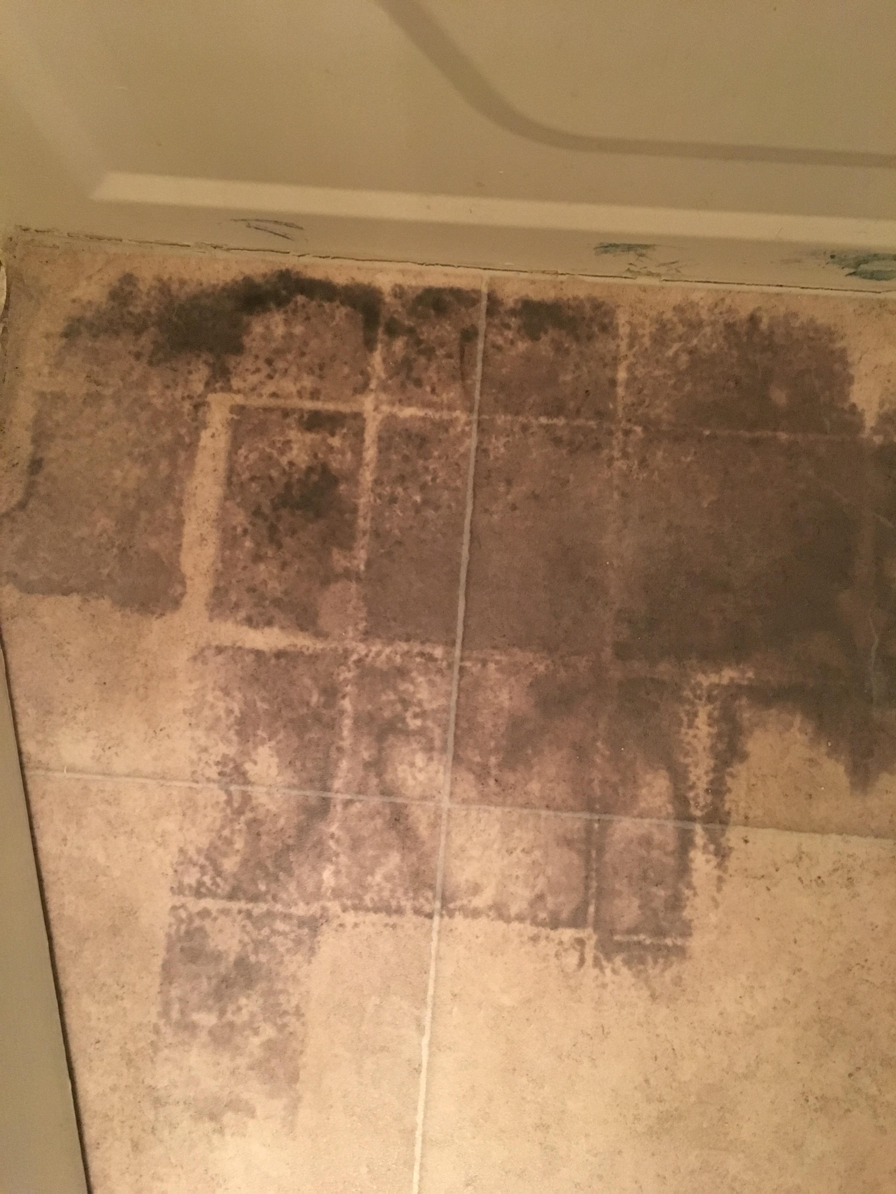 These markings on my bathroom floor appeared within a few months of