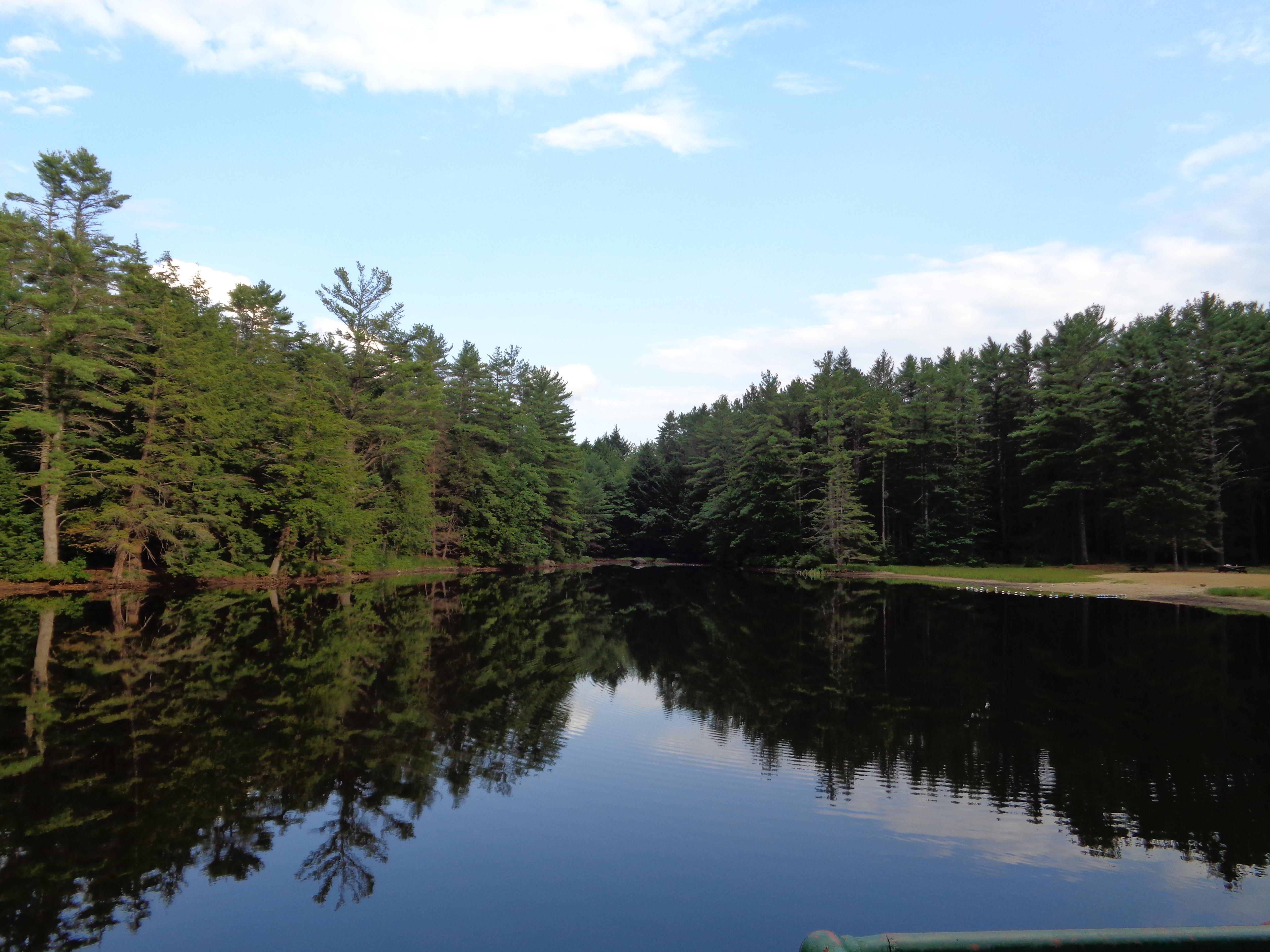 Otter River State Forest, Baldwinville MA. r/massachusetts