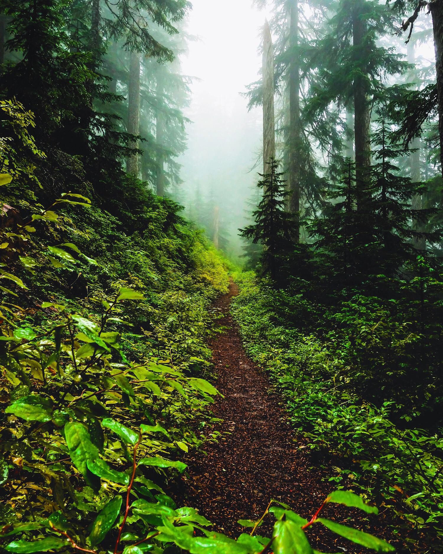 Racing Winter on the Pacific Crest Trail Paperback