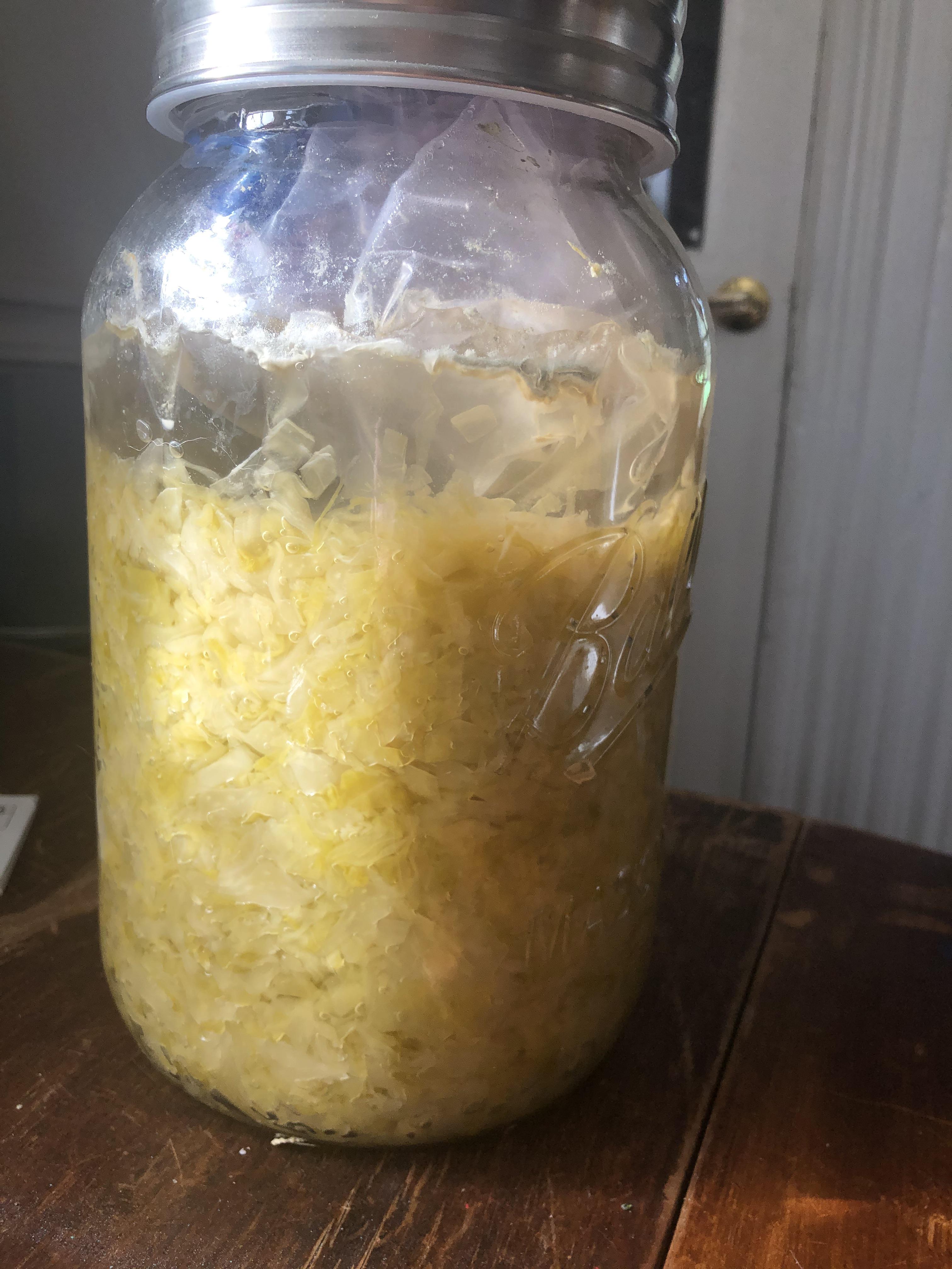Our first sauerkraut attempt after 3 weeks noticed mold on top, still
