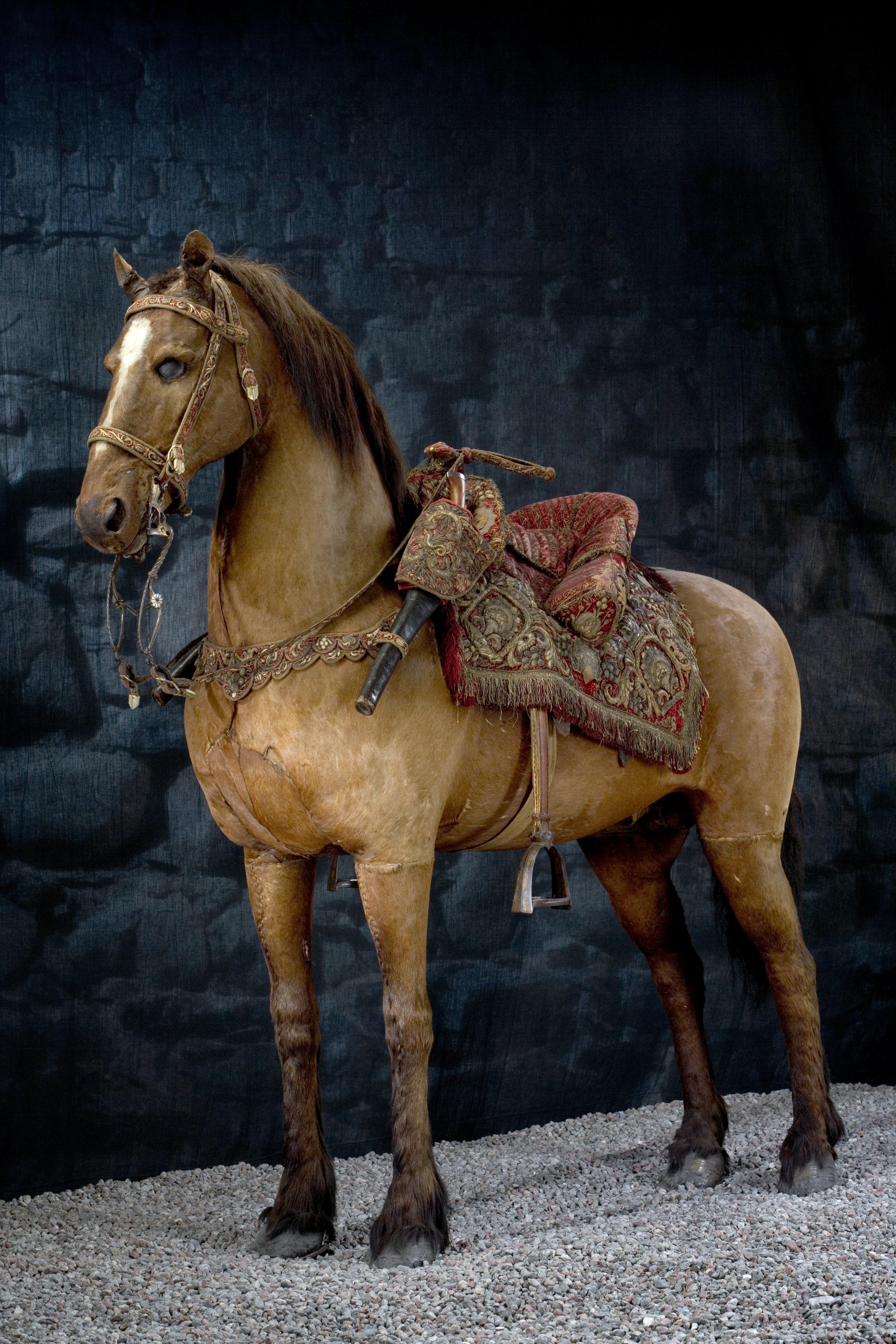 Streiff the horse King Gustavus Adolphus the Great, King of Sweden