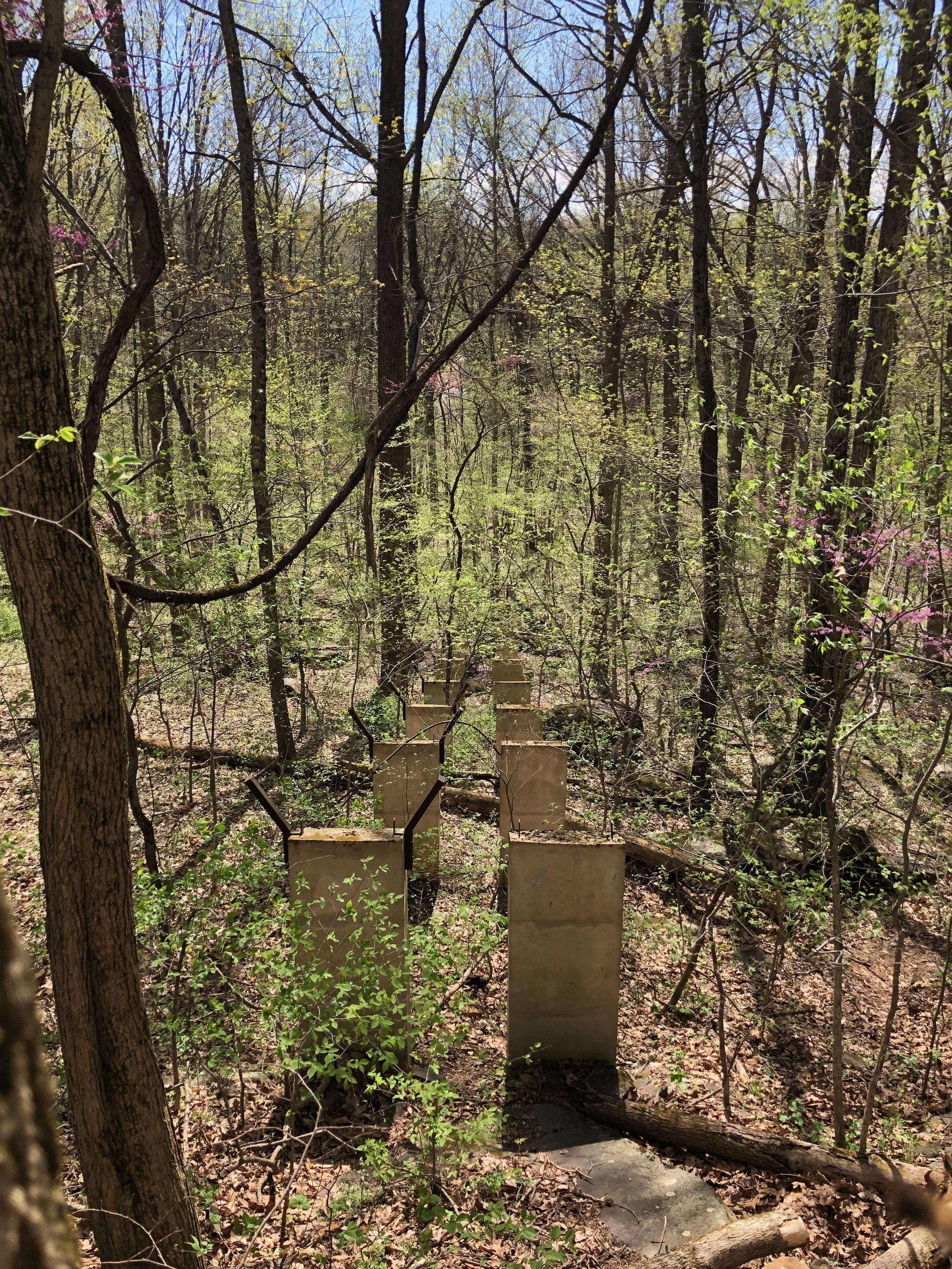 Concrete structures with metal attachments at the top, Gifford Pinchot