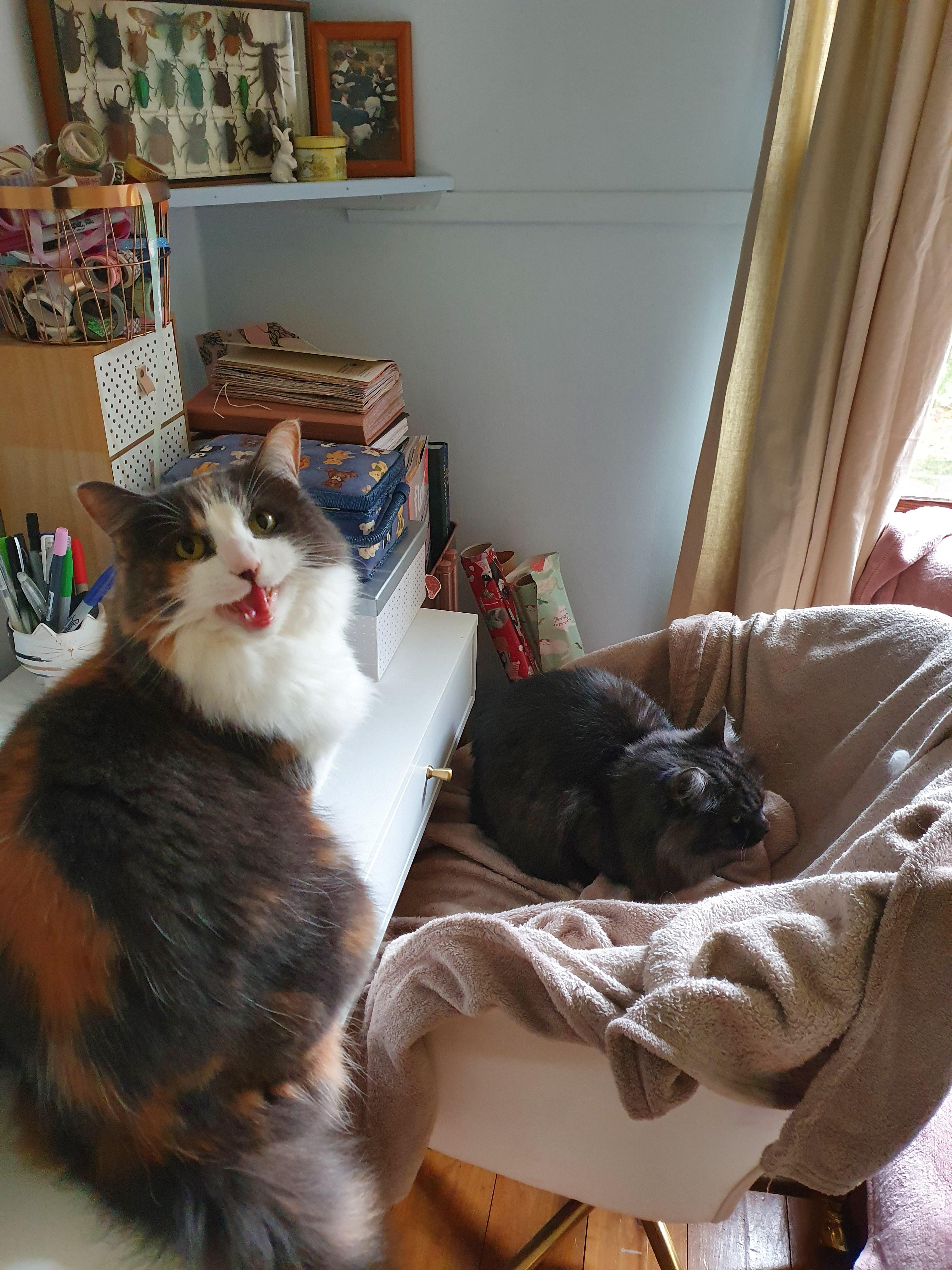 When your sister steals your favourite chair.. you yell about it. r