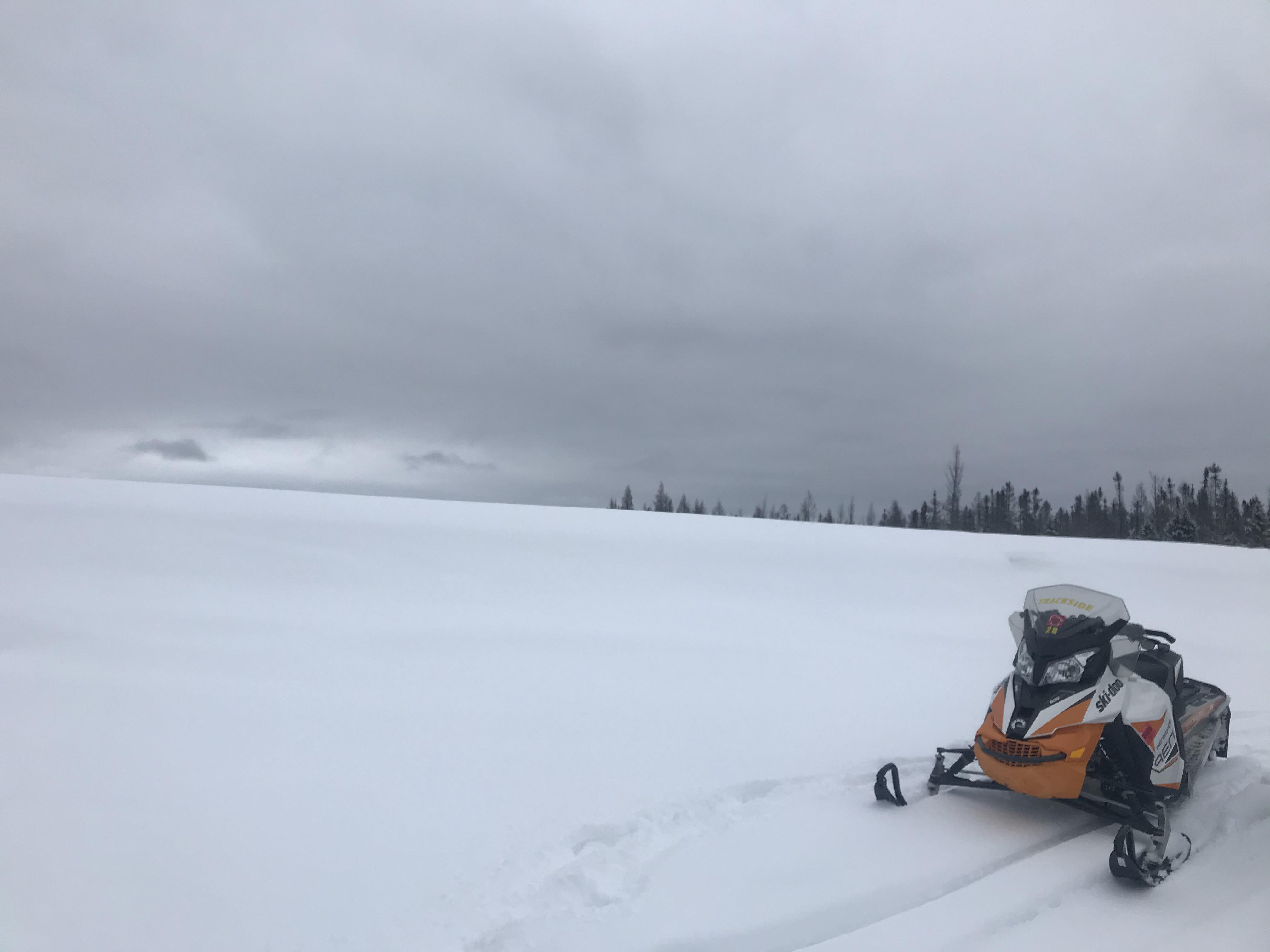 Looking for repair estimate for rental SkiDoo Renegade 600. Eagle River