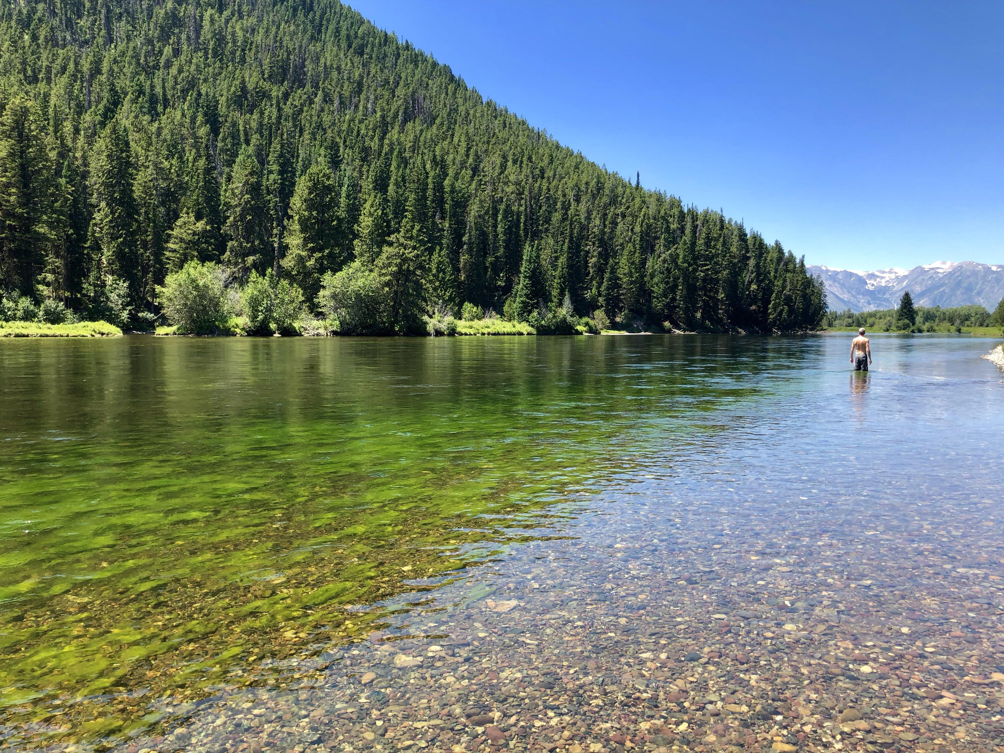Snake River in Wyoming r/natureporn