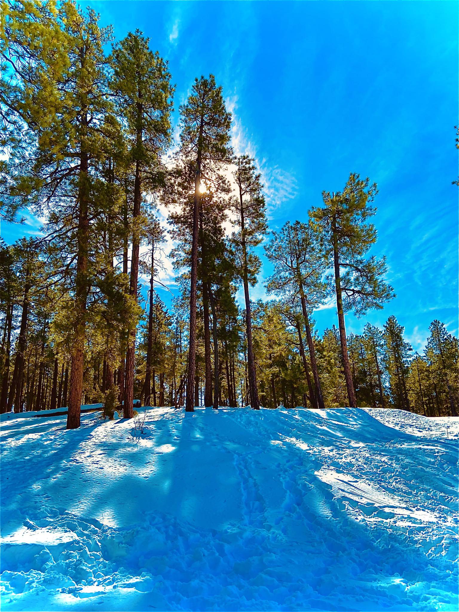 Strawberry,AZ. r/arizona