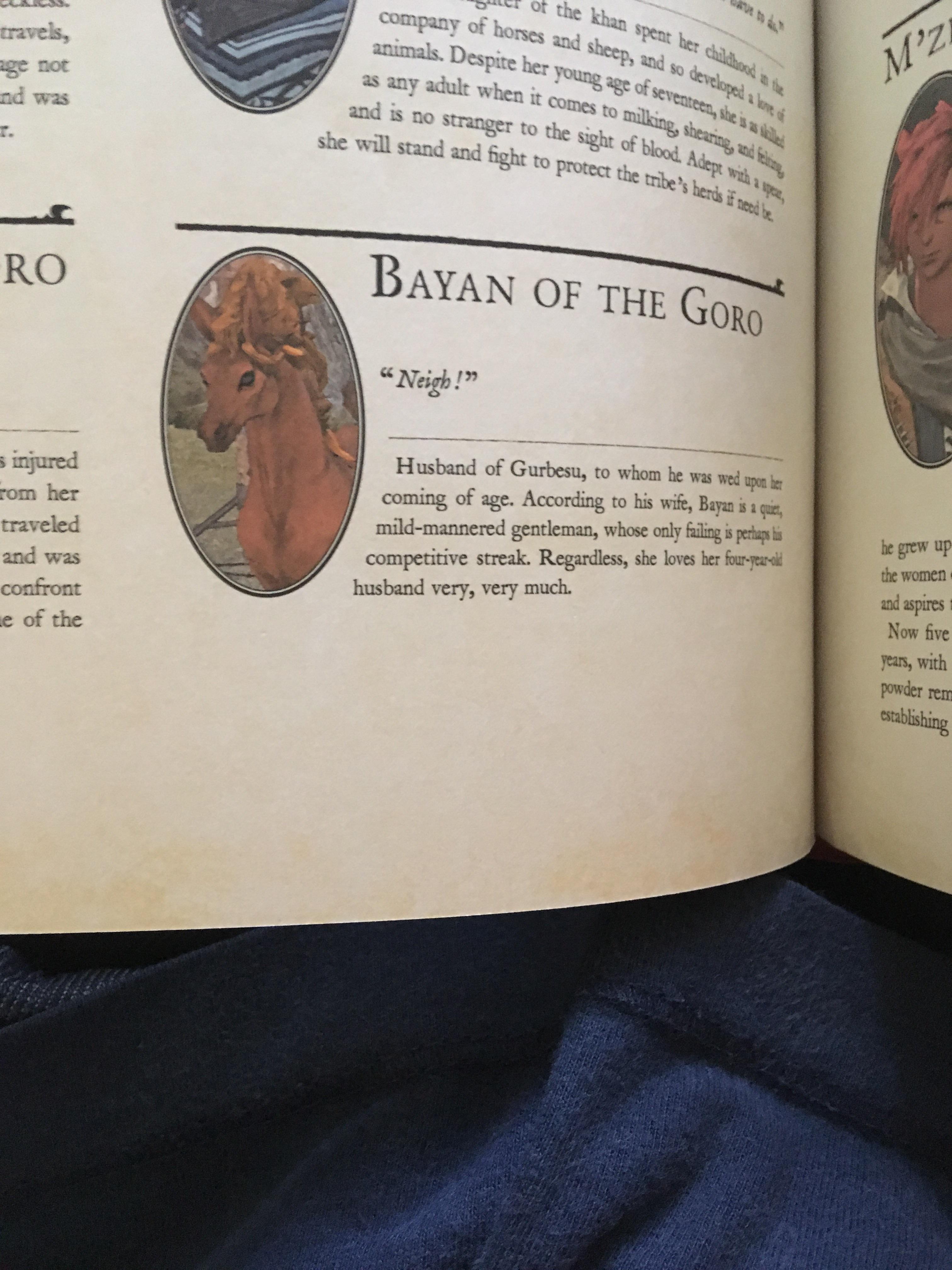 The most character in all the encyclopedia Eorzea II ffxiv