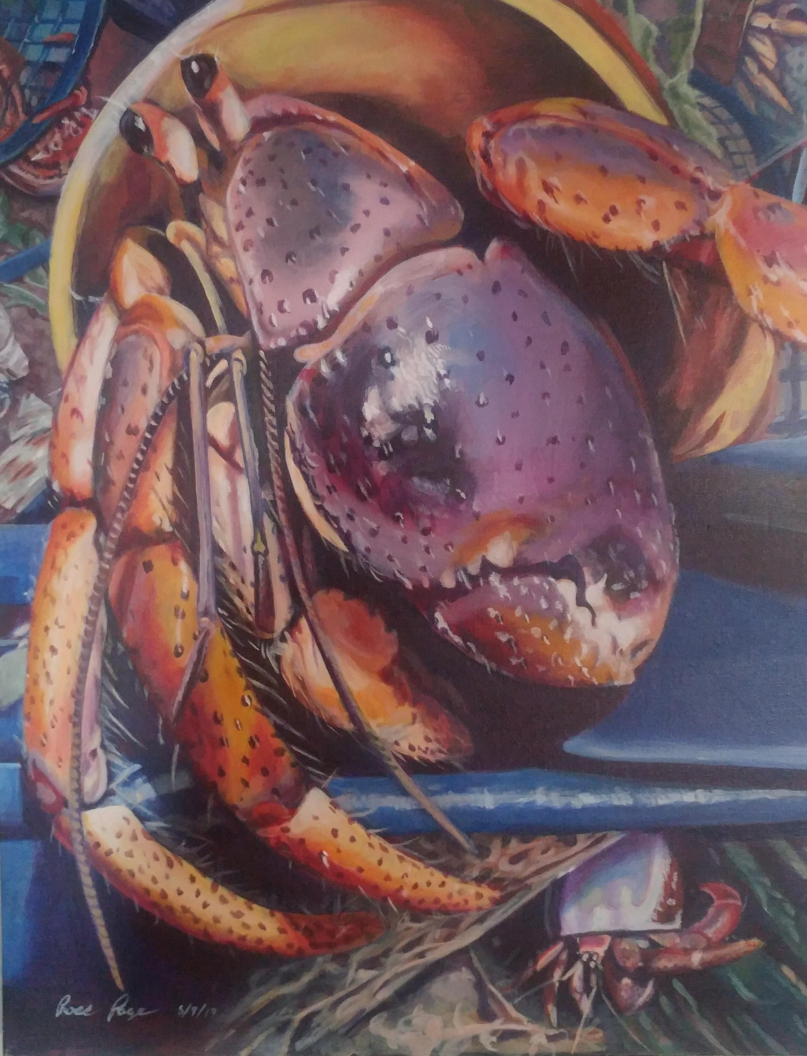 Hermit Crab Painting! r/hermitcrabs