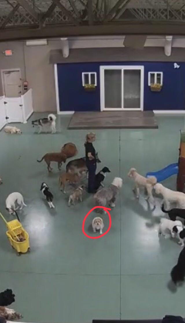 Reddit Dive into anything