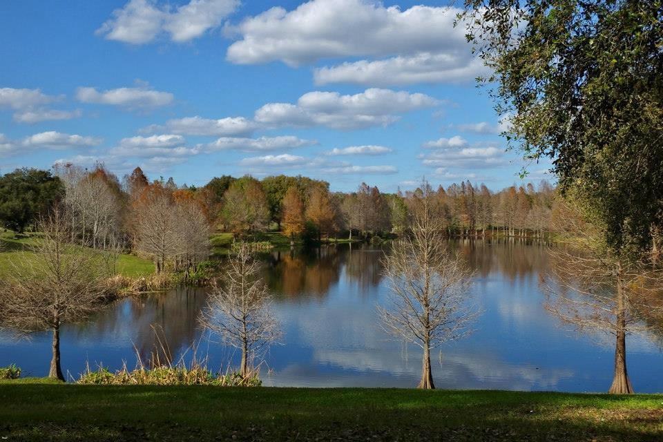 I love looking at all of the beautiful pictures of winter and snow, I