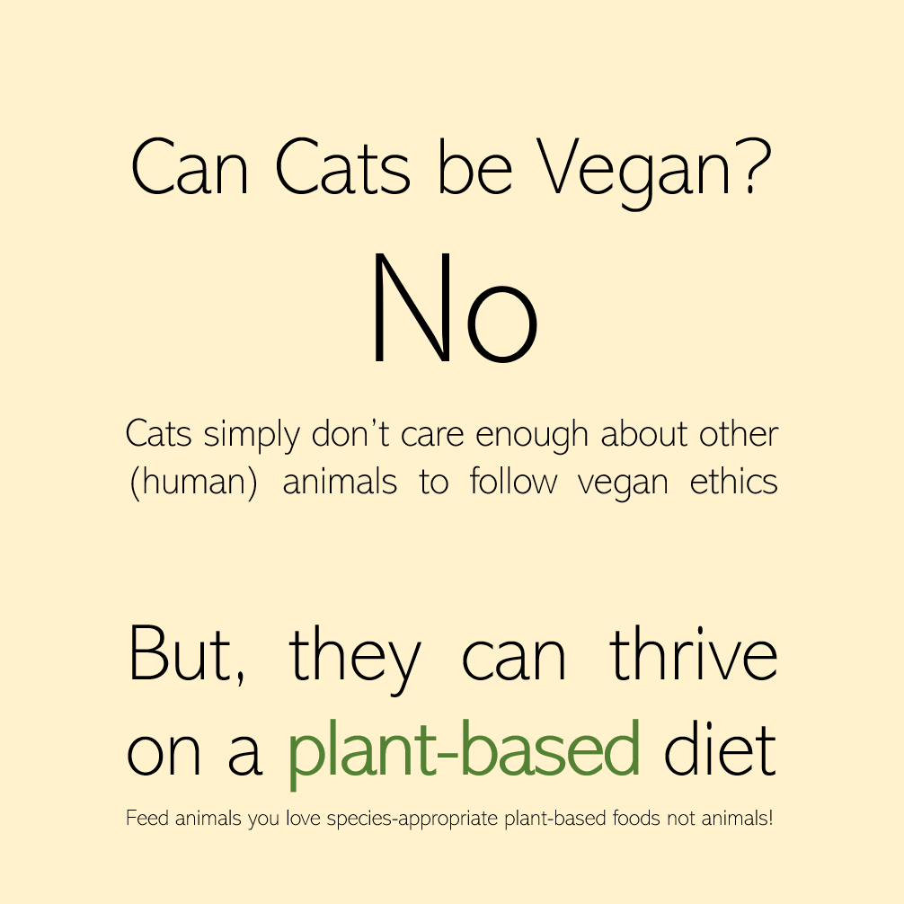 PSA on Vegan Cats r/vegan