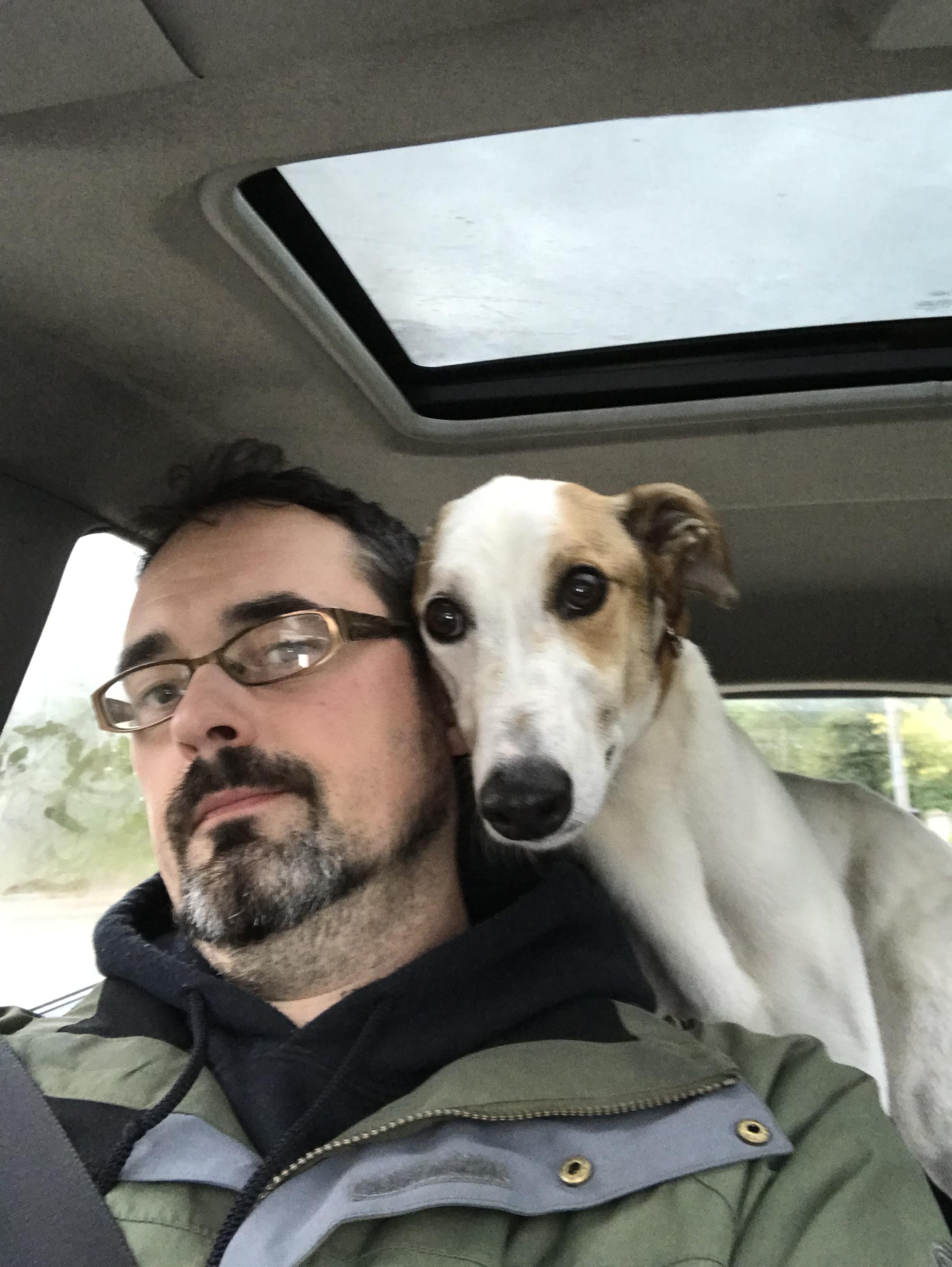 He’s a nervous passenger... r/Greyhounds