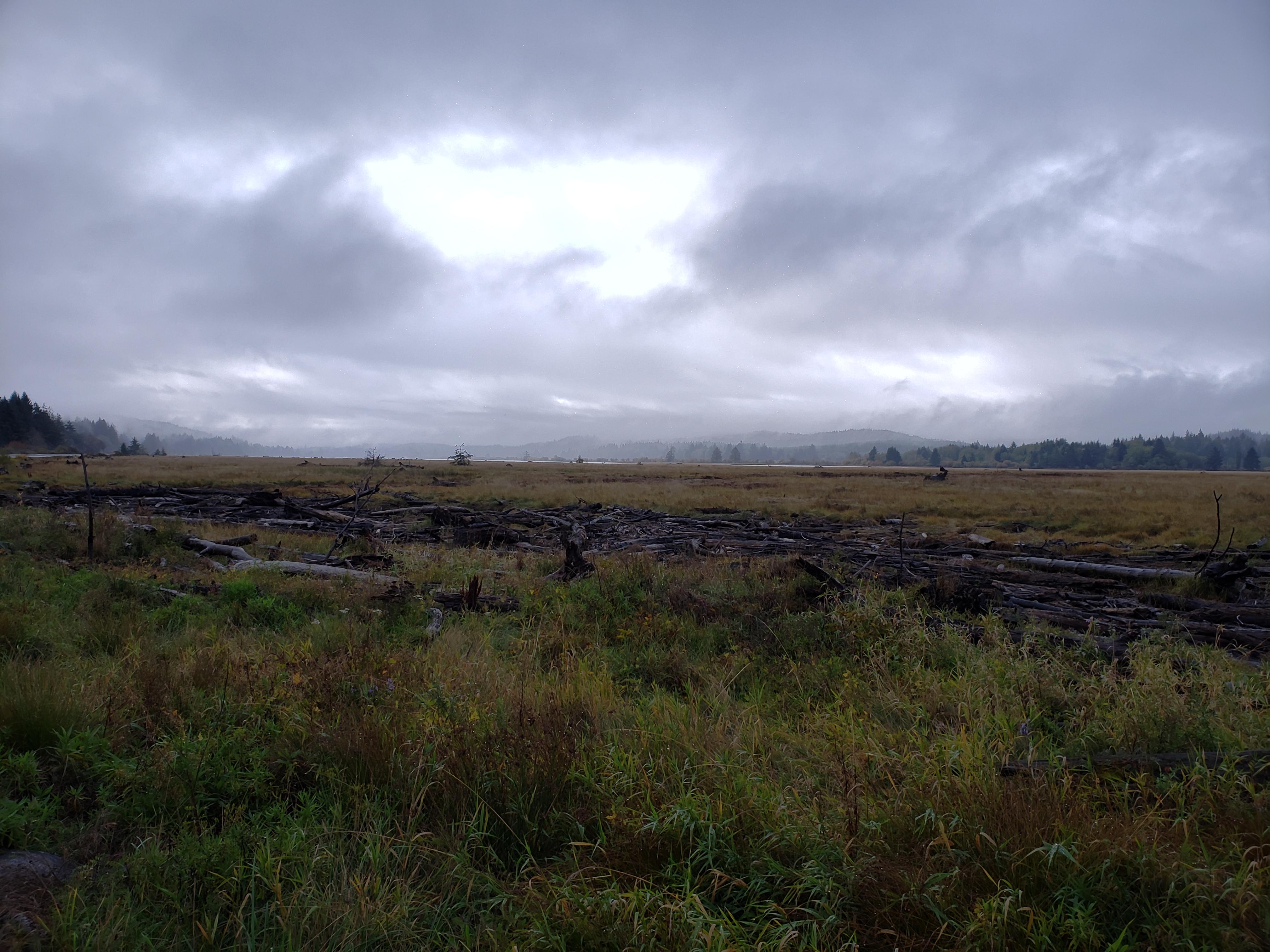 Naselle River Valley SW Washington r/Washington