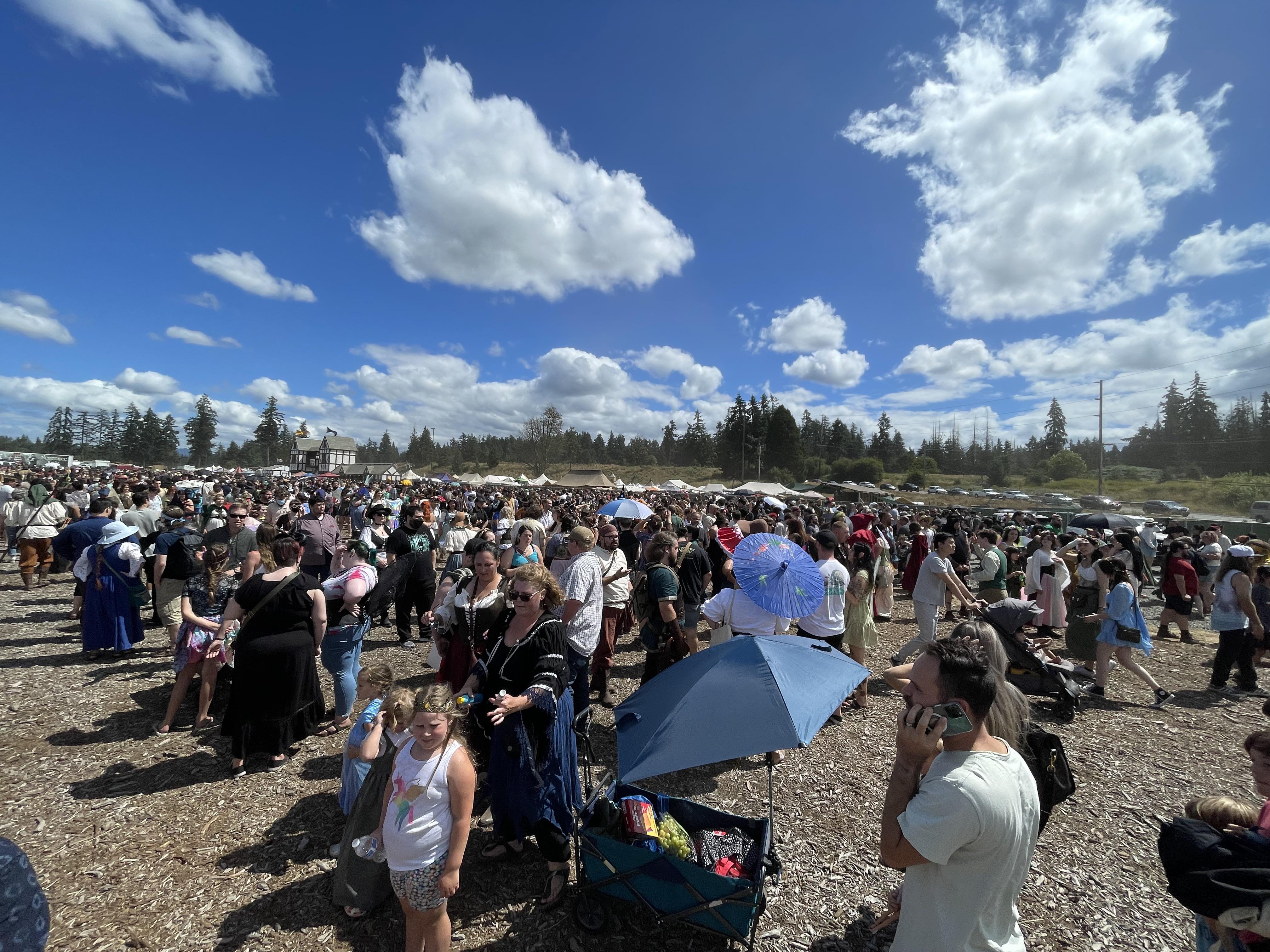 The queue just to get your ticket scanned at the Washington Ren Faire