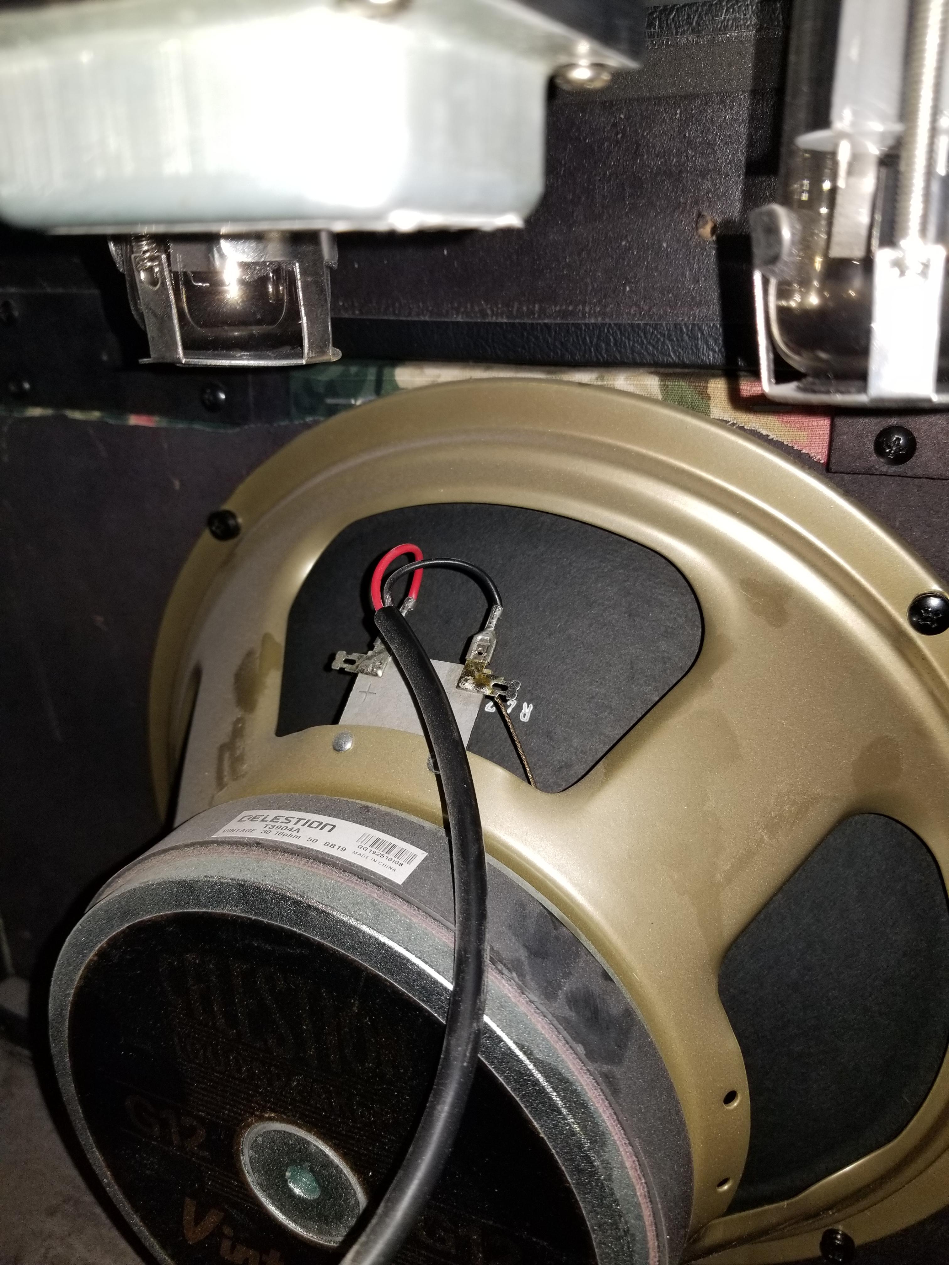 Speaker Corrosion Issue?? r/GuitarAmps
