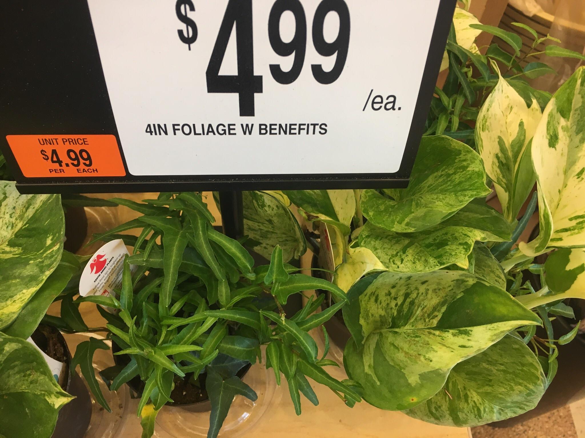 Reddit Dive into anything