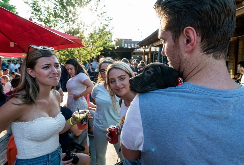 *Jerry the King Lawler Voice* PUPPIES! barstoolsports