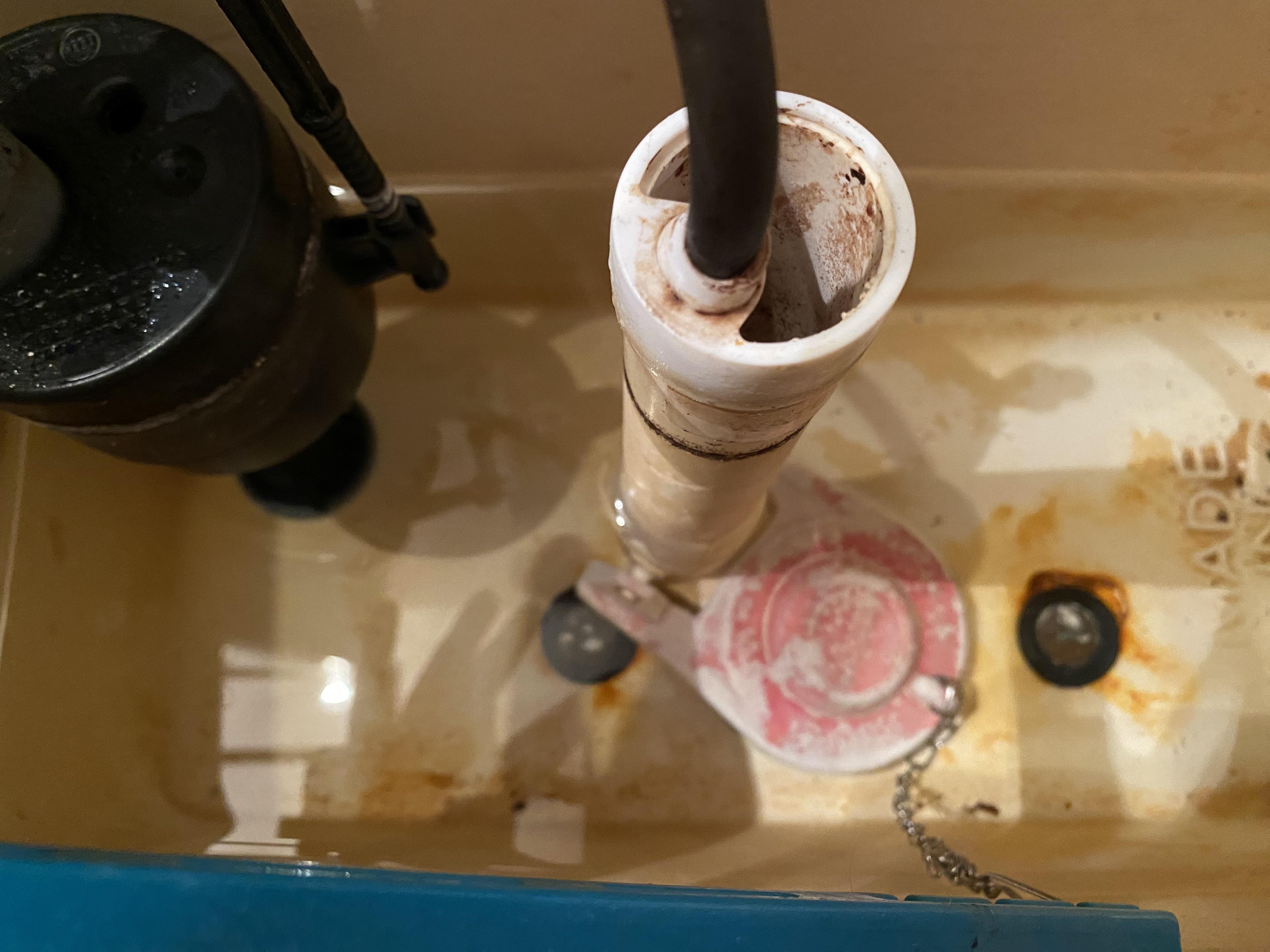 My toilet leaks from the tank to the bowl r/Plumbing