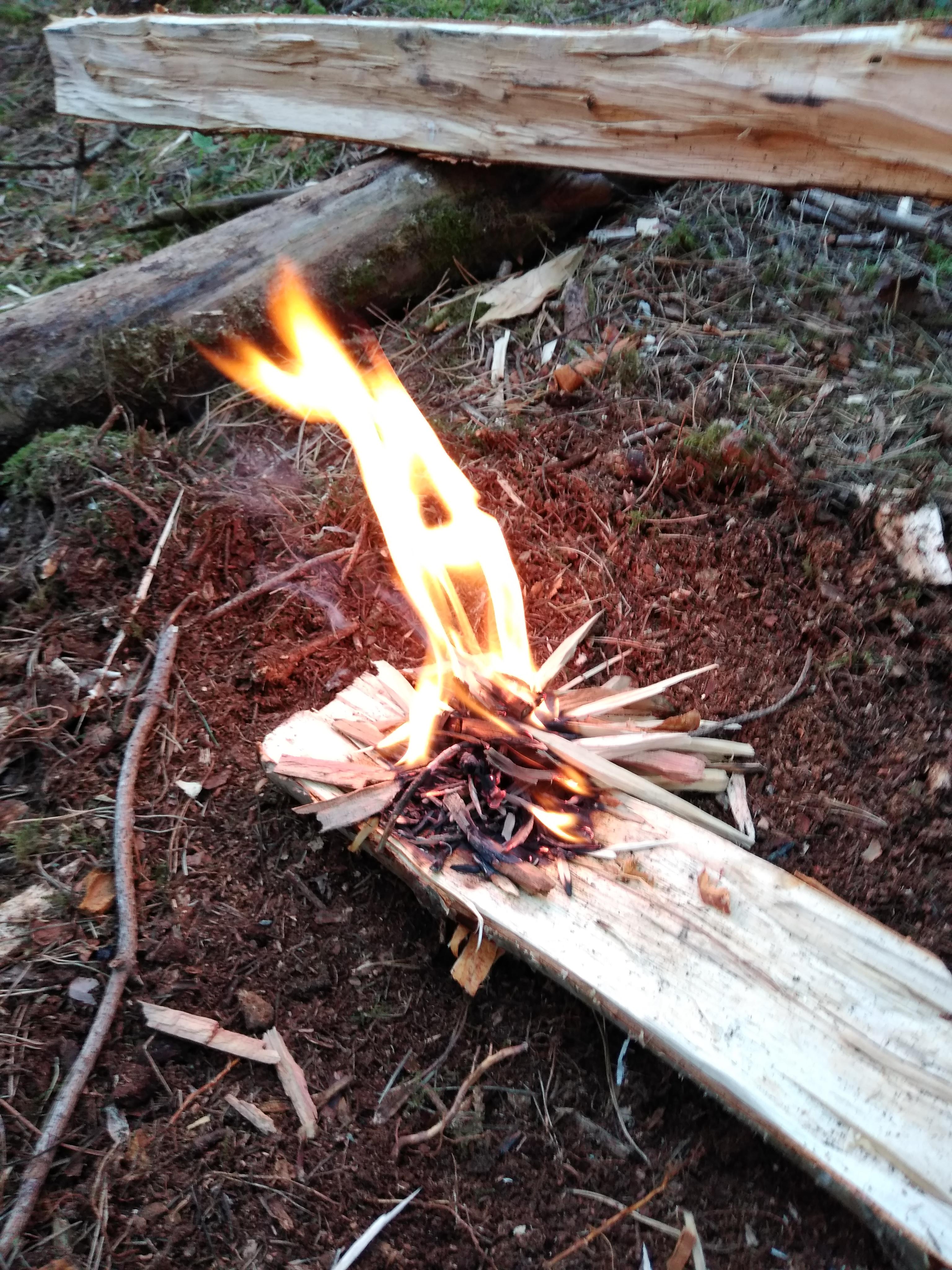 My first campfire using just foraged materials and a steel. There is so