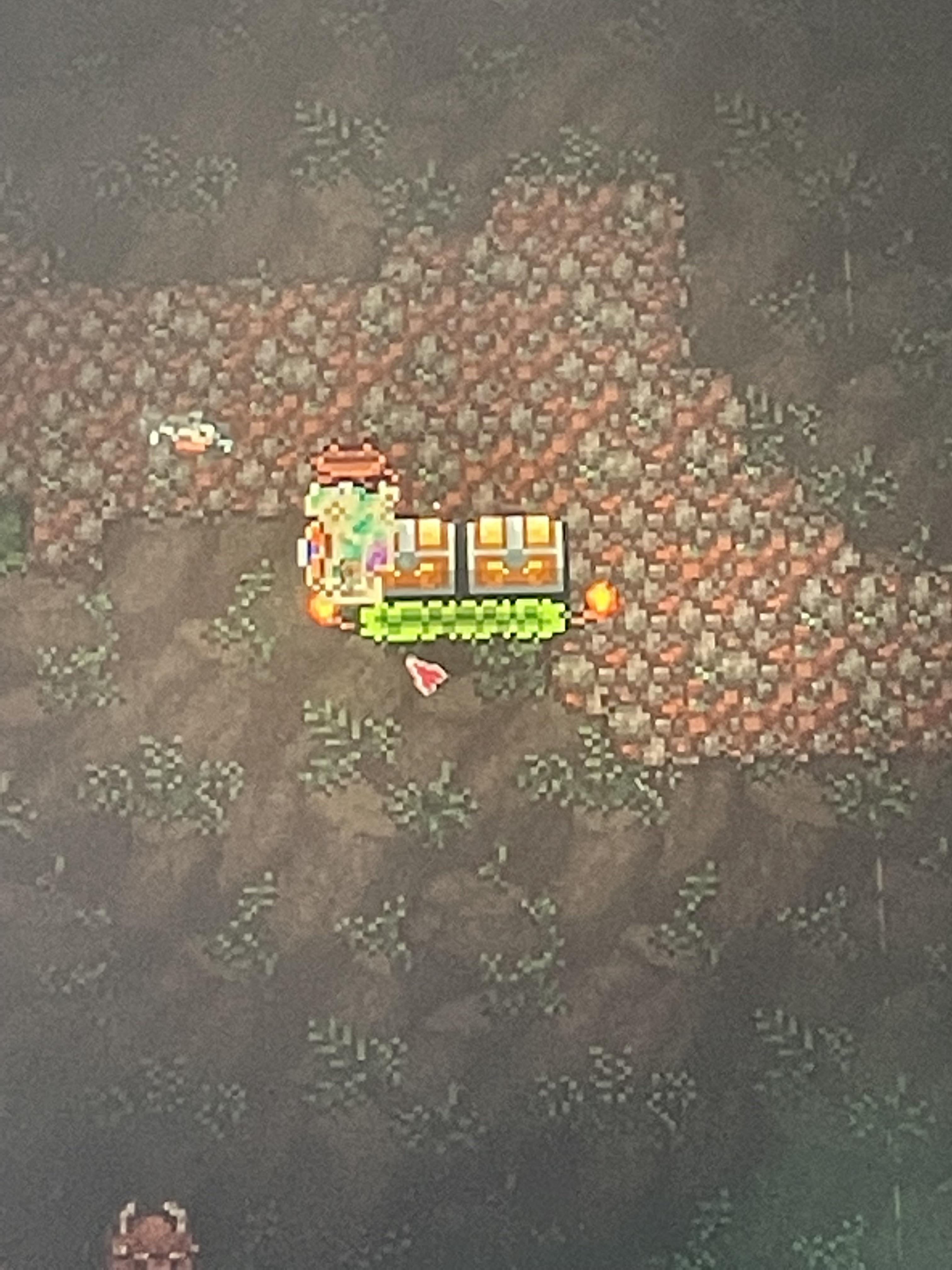 2 naturally spawned untapped chests right next to each other r/Terraria