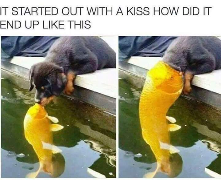 It was only a kiss..... r/giofilms