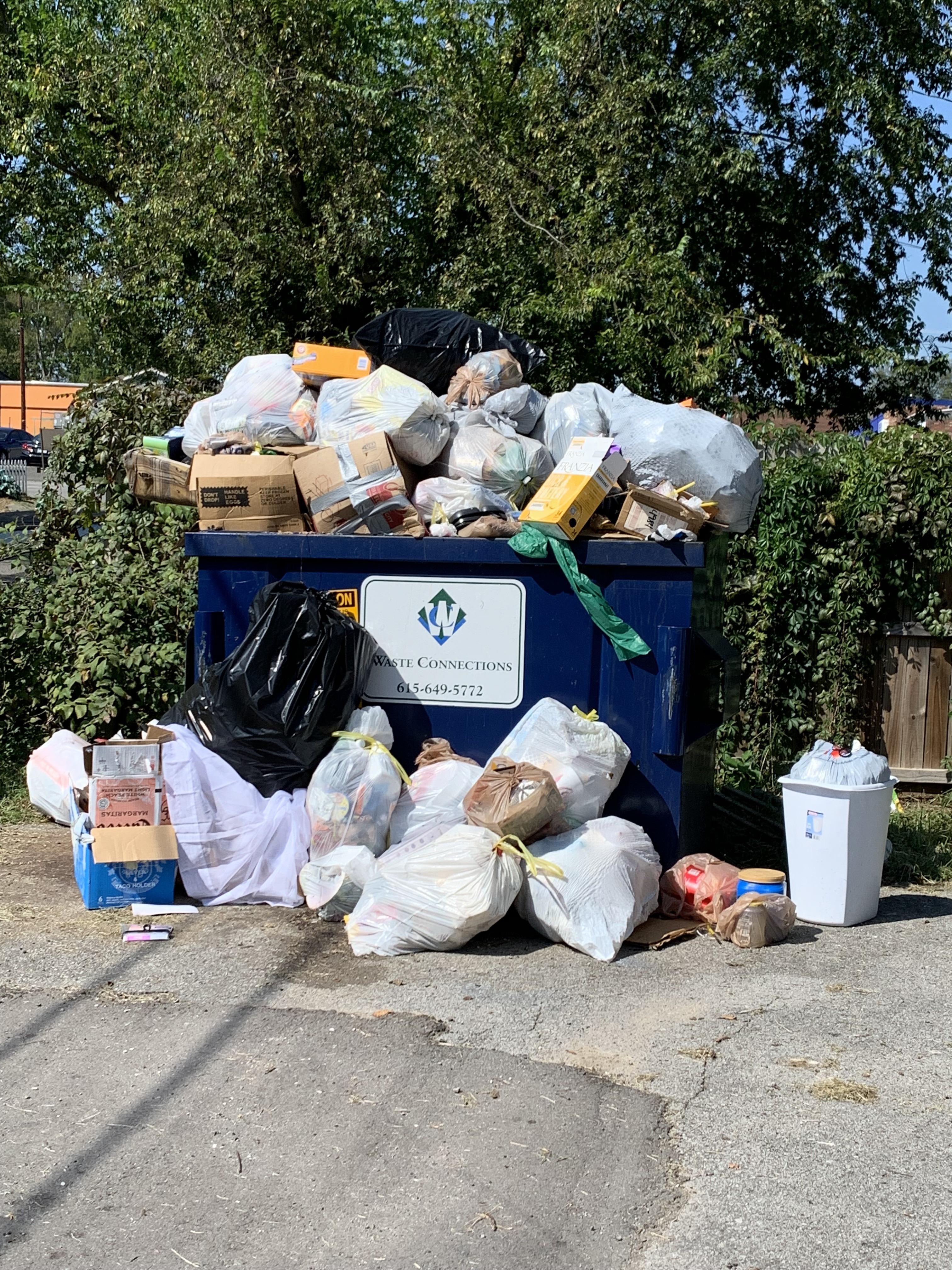 This is our apartment’s dumpster. It has not been emptied in over a