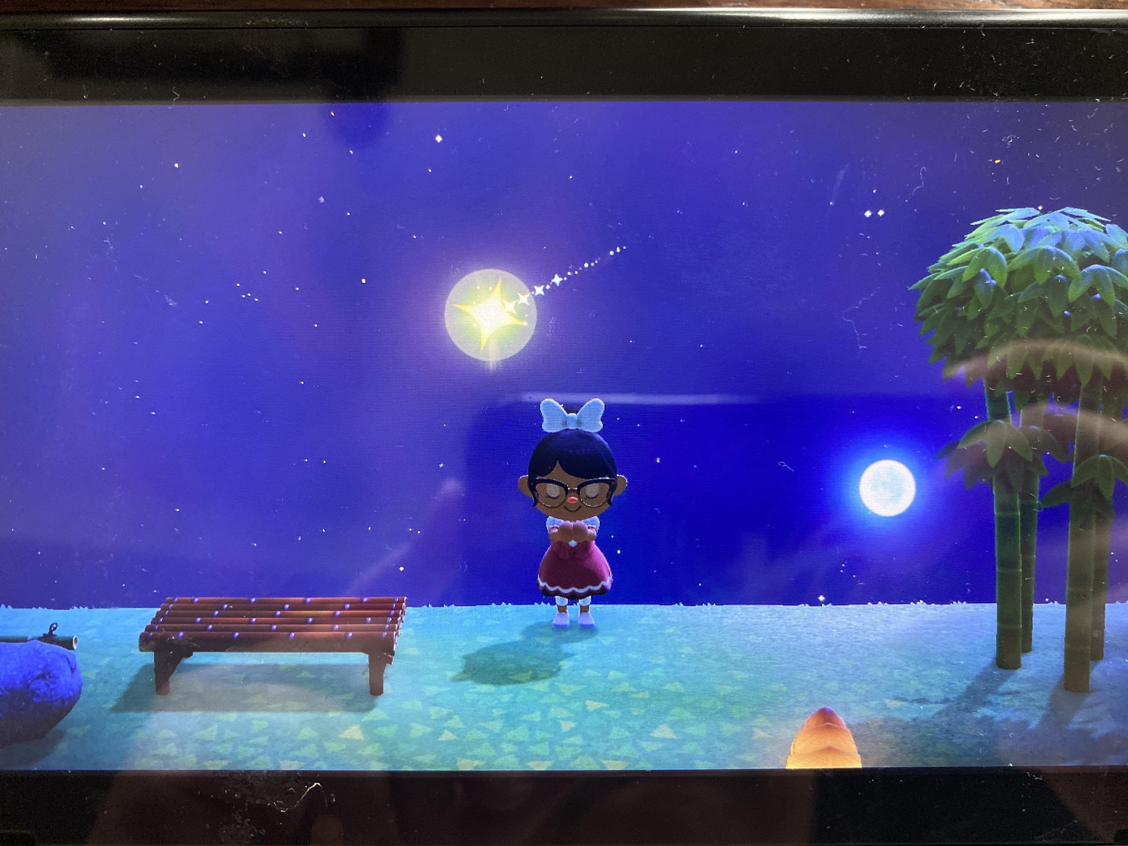 My first meteor shower was last night so of course I had to wear the