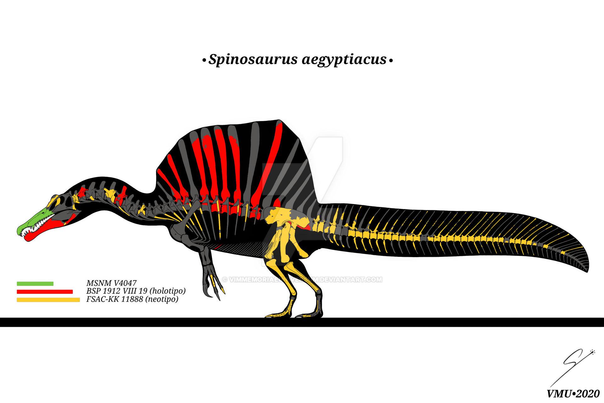 Spinosaurus aegyptiacus by VimMemoriaeUniversum r/Dinosaurs