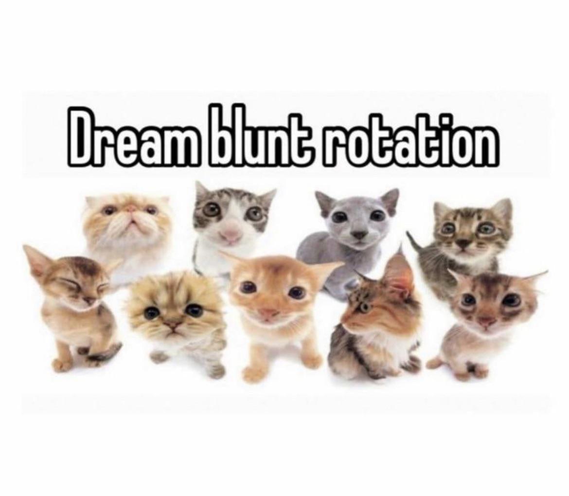 dream blunt rotation TheKittyKingdom