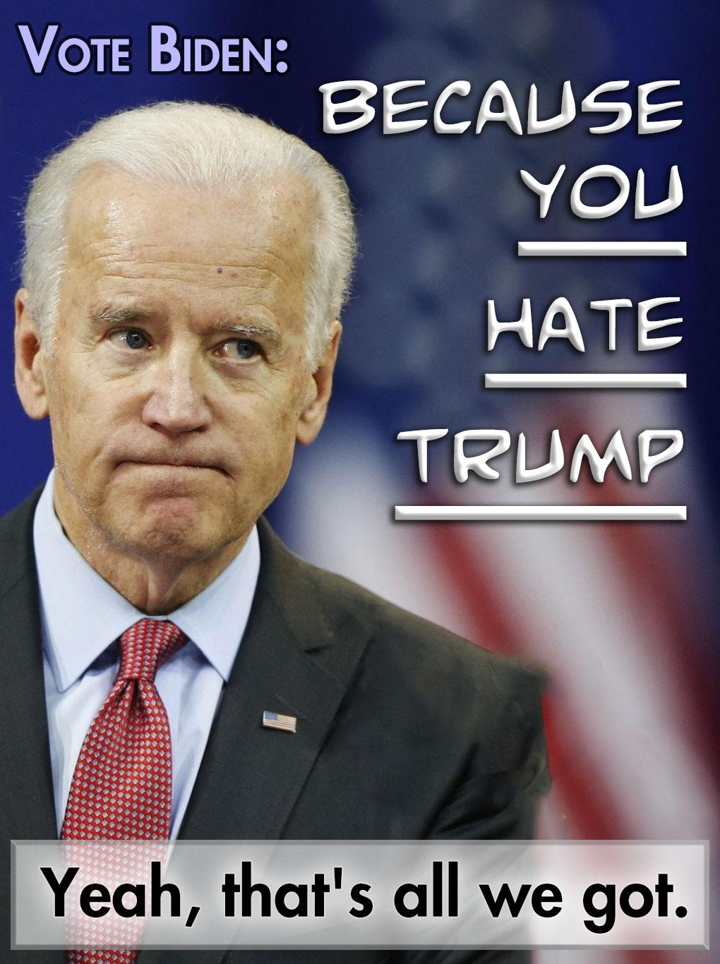 Democratic Establishment You Hate Trump Enough to Vote for This Idiot