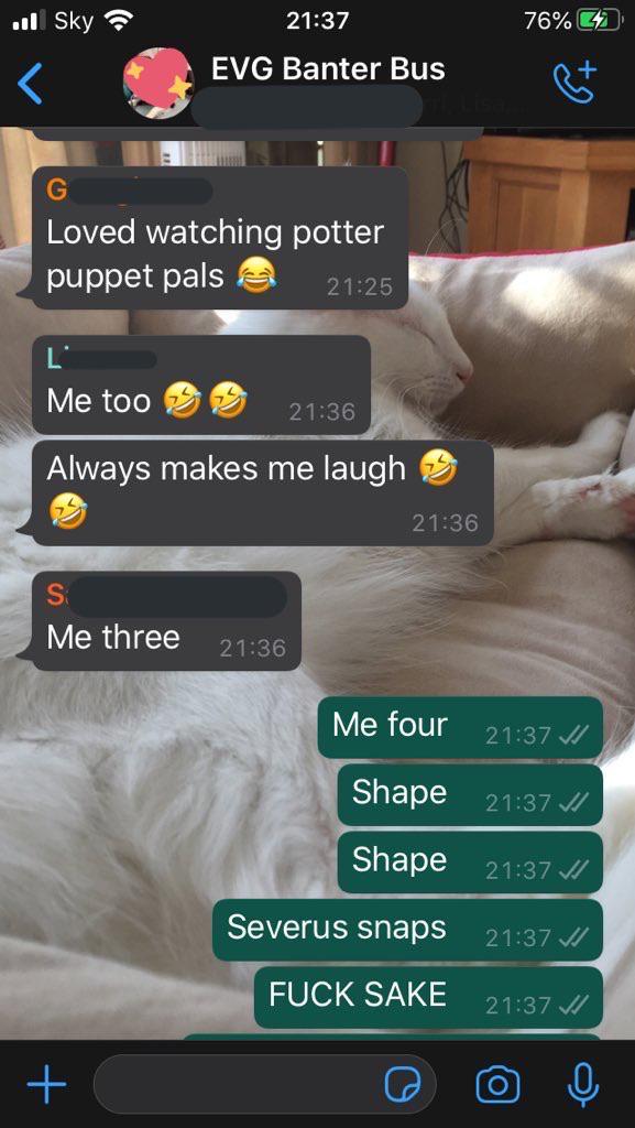 Tried to drunk WhatsApp the potter puppet pals lyrics r/ihadastroke