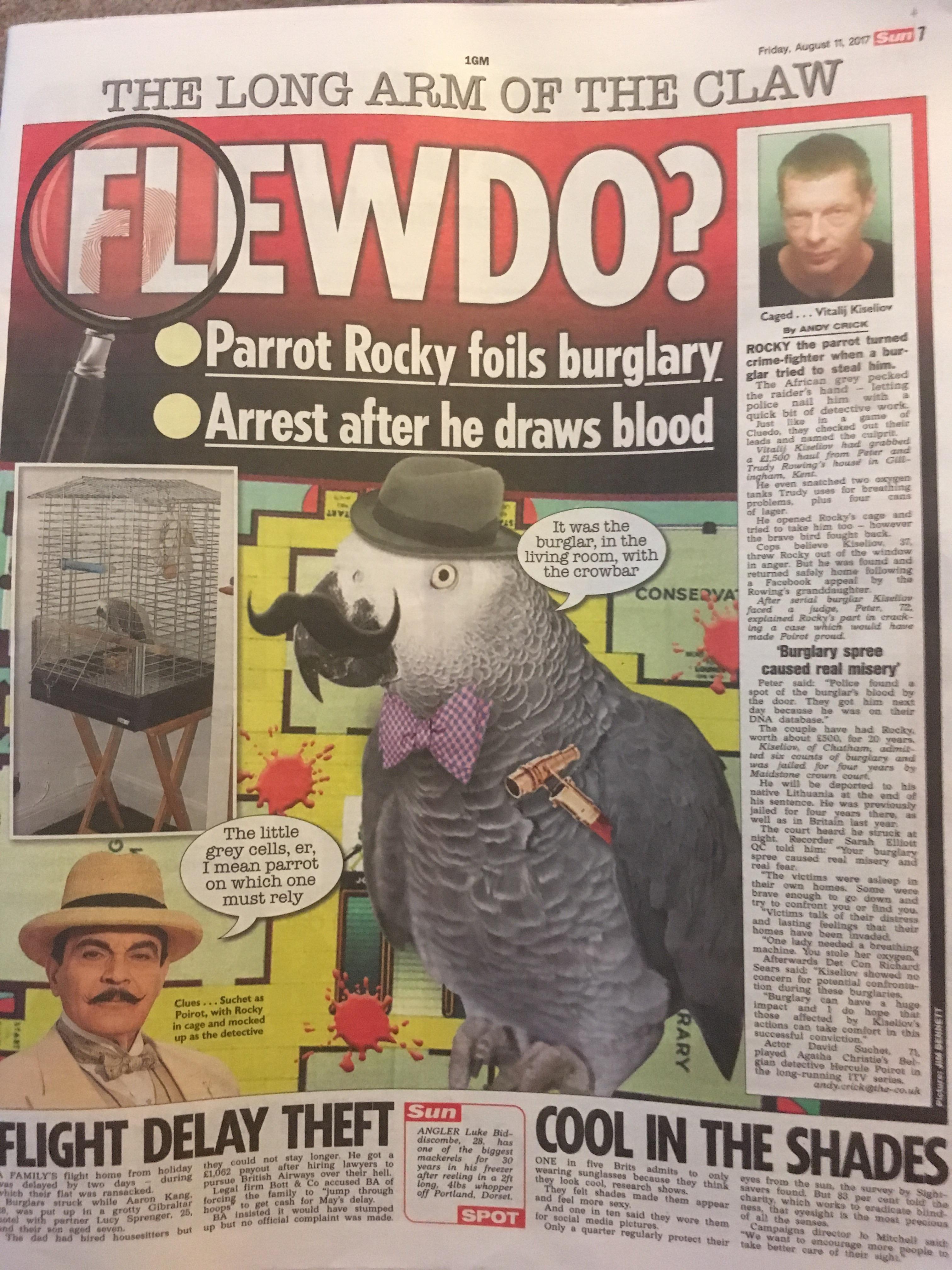 about to put newspaper down at the bottom of the parrots cage and came