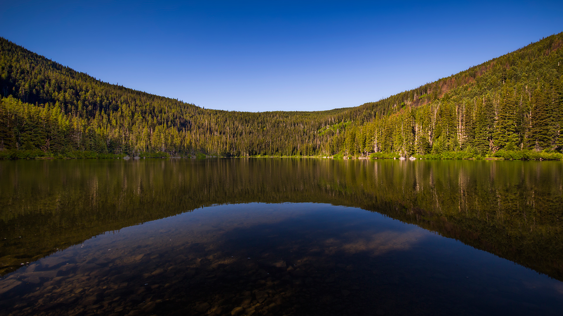 Badger Lake, Mt. Hood Natl. Forest, Oregon (OC) [1920x1080] r/EarthPorn