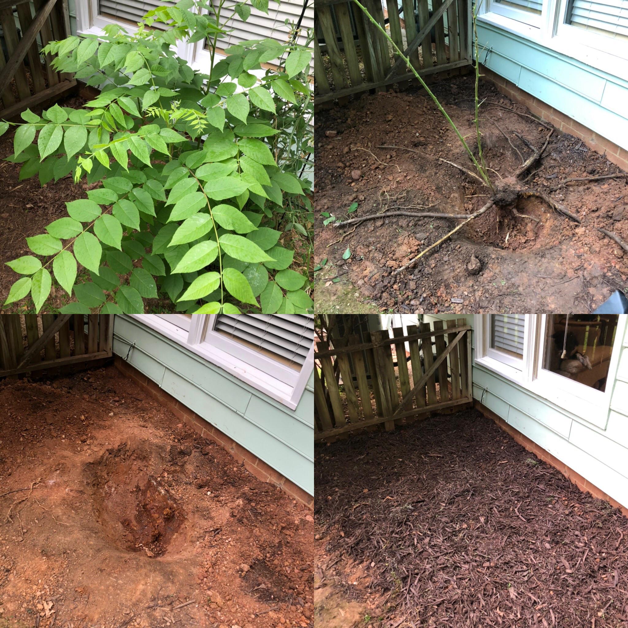 Thanks to this sub for helping me realize the solution to the black