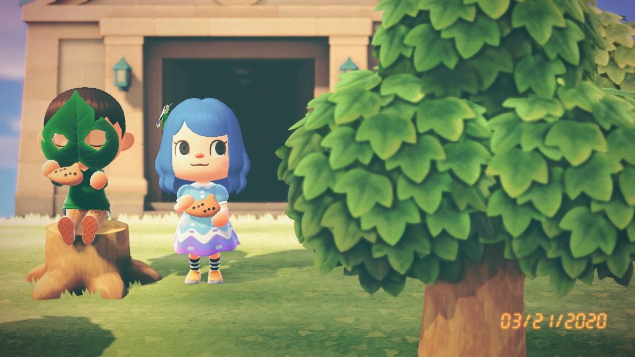 39+ Ocarina Animal Crossing New Horizons Use Nuage Detoiles