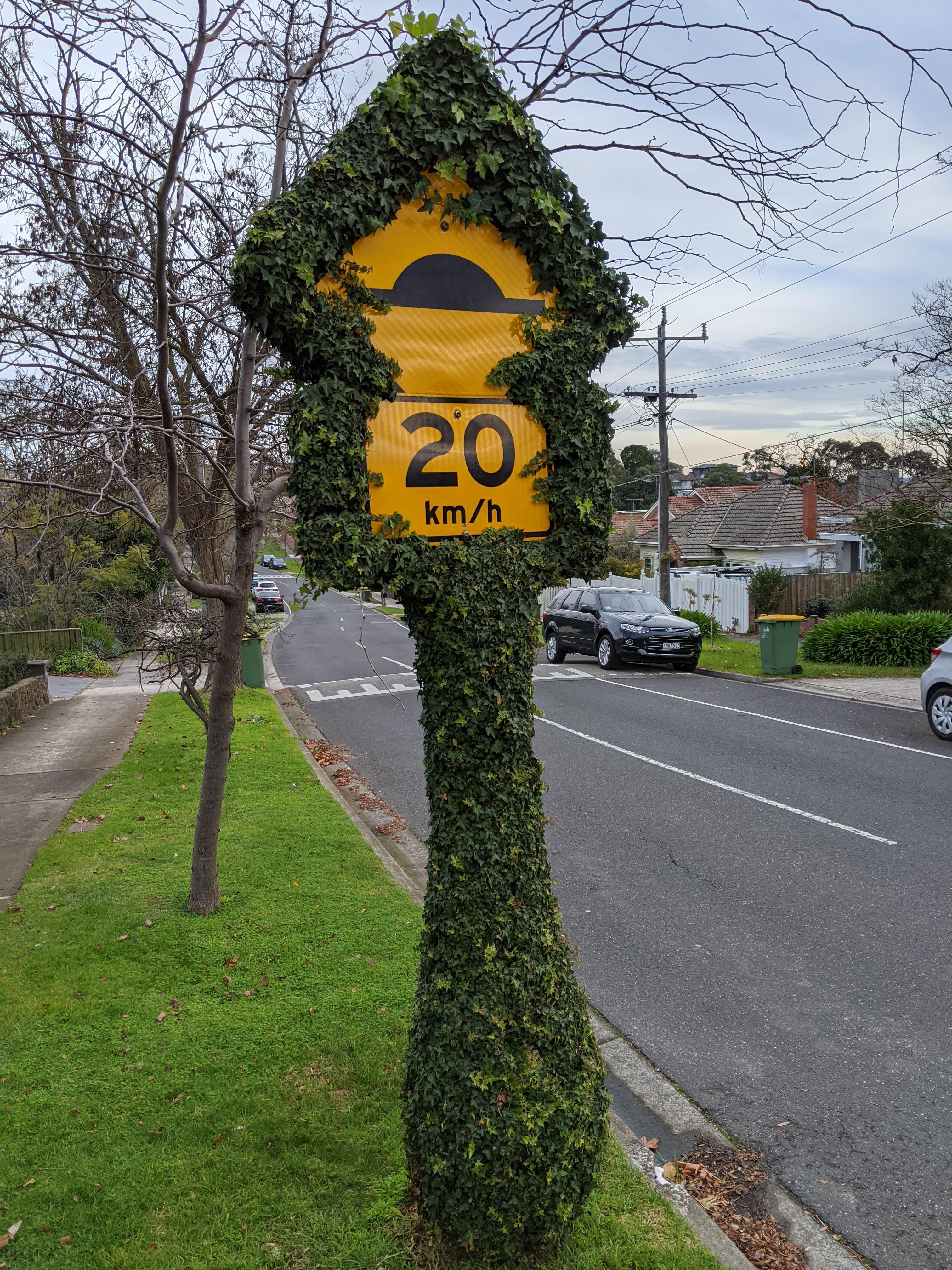 Perfect framing. Spotted in North Eastern Suburbs. r/melbourne
