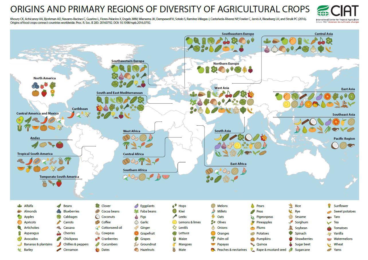 A Map of the Origins of some Fruit and Vegetables r/MapPorn