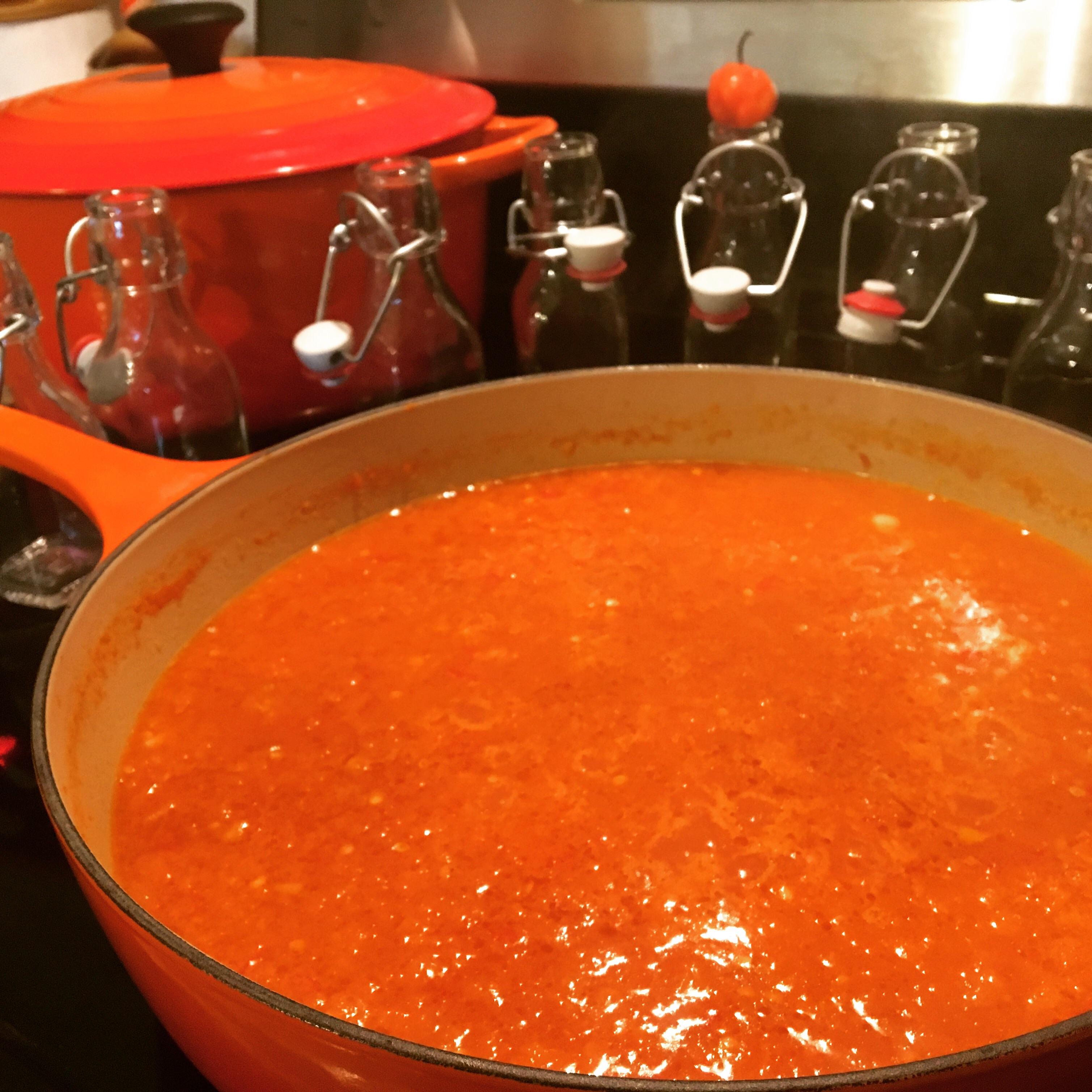 [homemade] Habanero chile sauce r/spicy