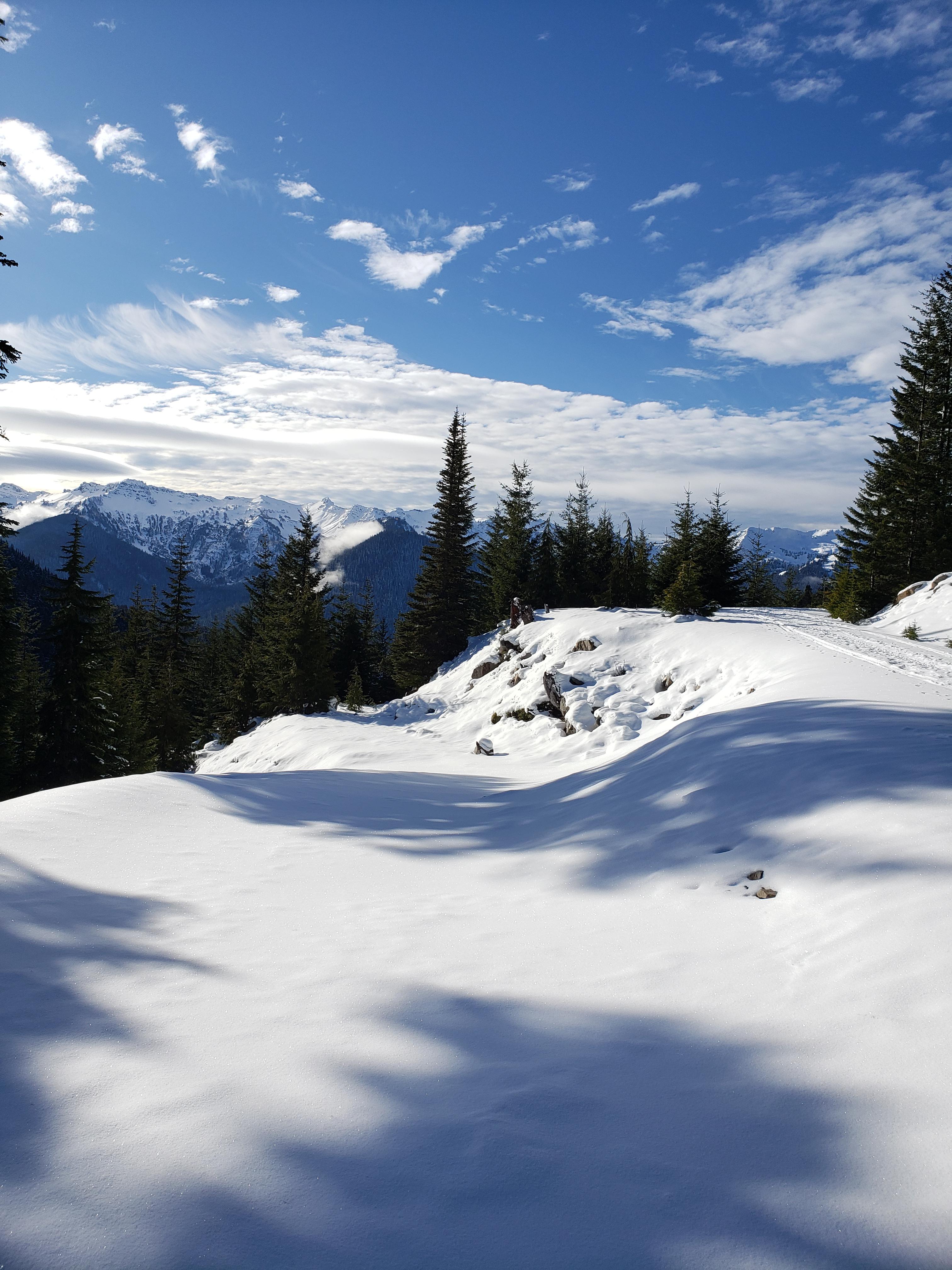 Beautiful day in the PNW. White Pass, WA. r/hiking